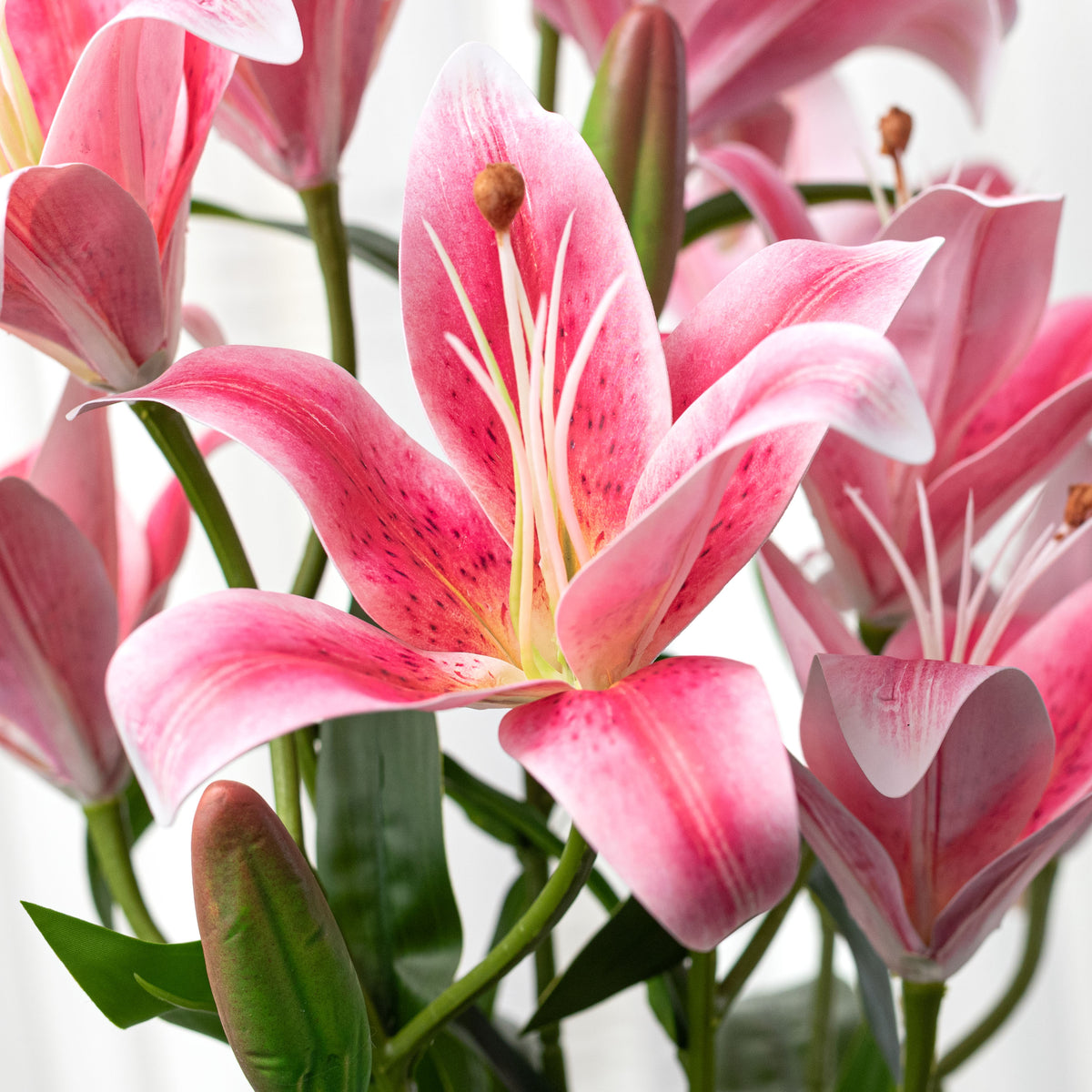 21" Lily Bush: Hot Pink (9 Stem)