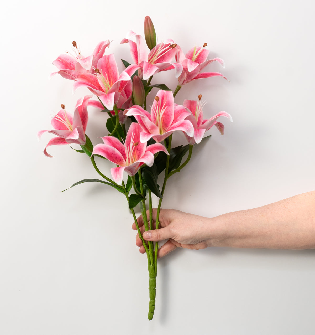 21" Lily Bush: Hot Pink (9 Stem)