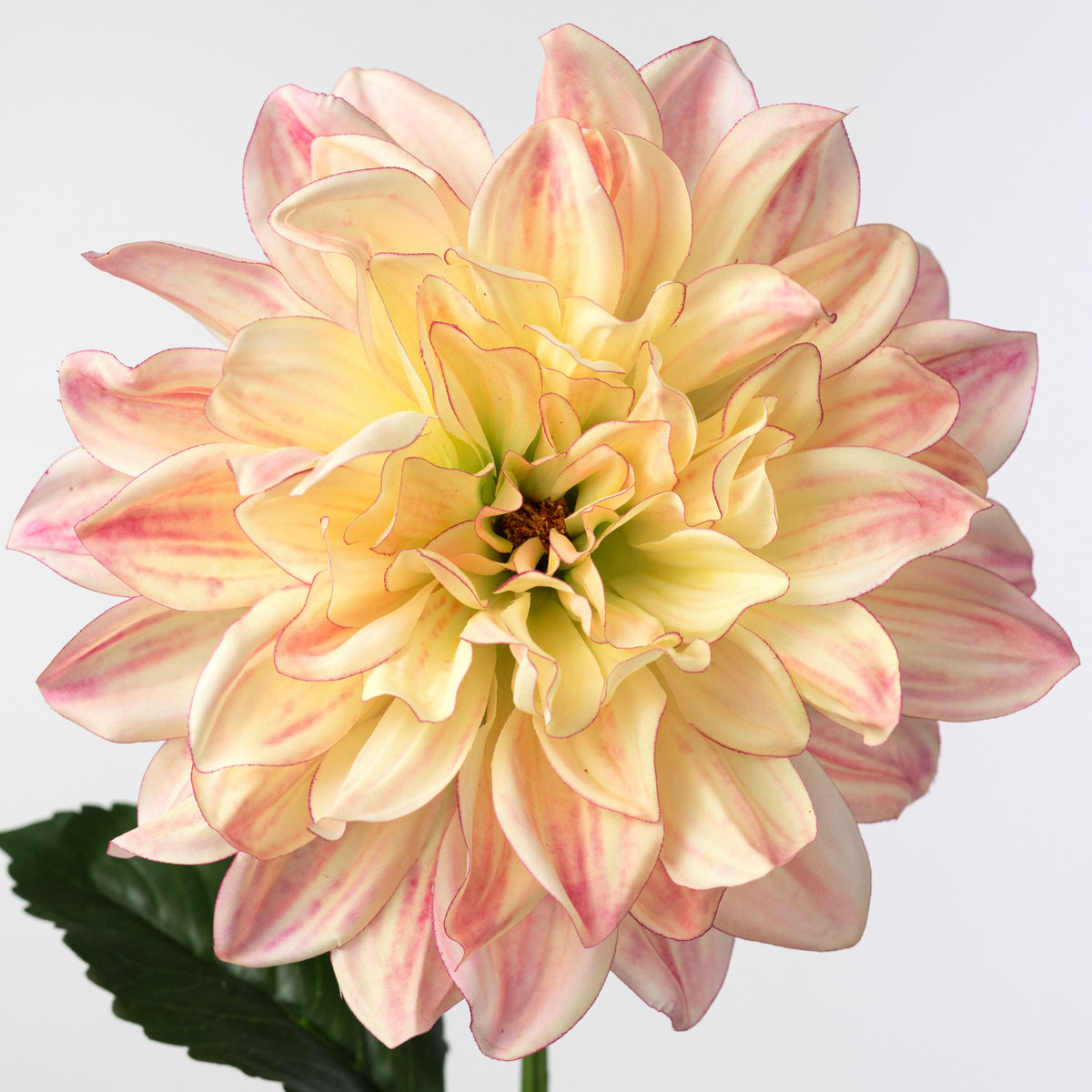 27" Dahlia Stem: Pink & Yellow