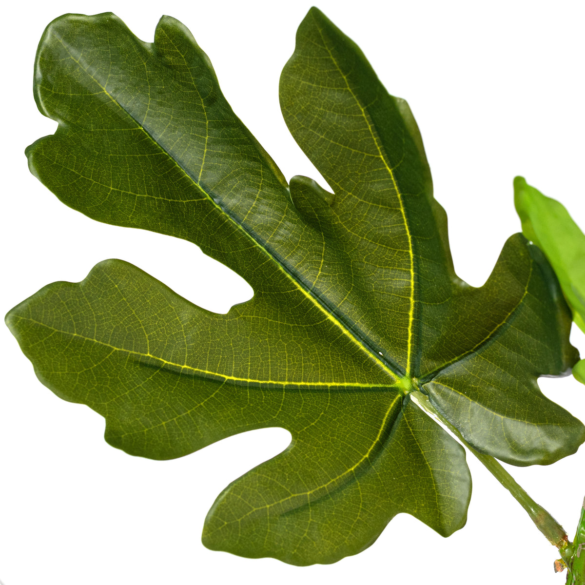 30" Artificial Fig Leaf Branch