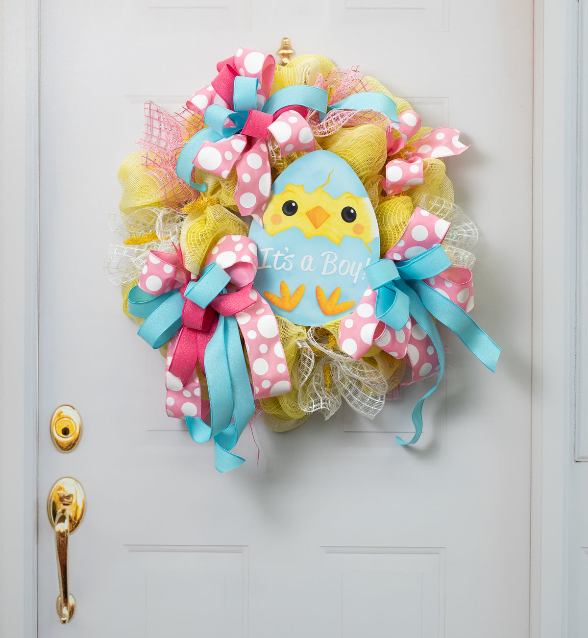 12" Wooden Sign: It's a Boy Chick Egg