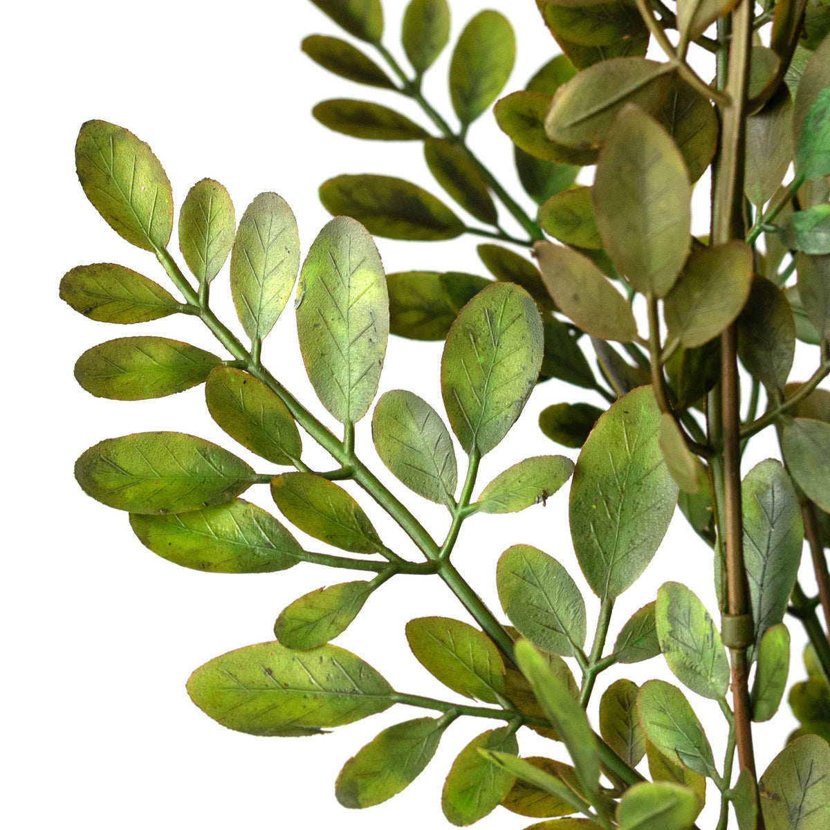 21" Plastic Locust Leaf Bush: Sage Green (7 Stem)