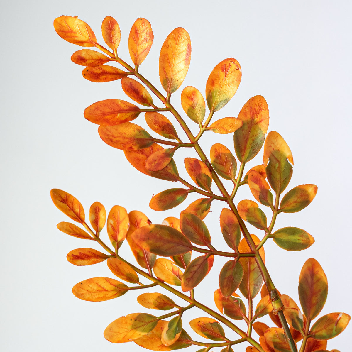 21" Plastic Locust Leaf Bush: Orange (7 Stem)