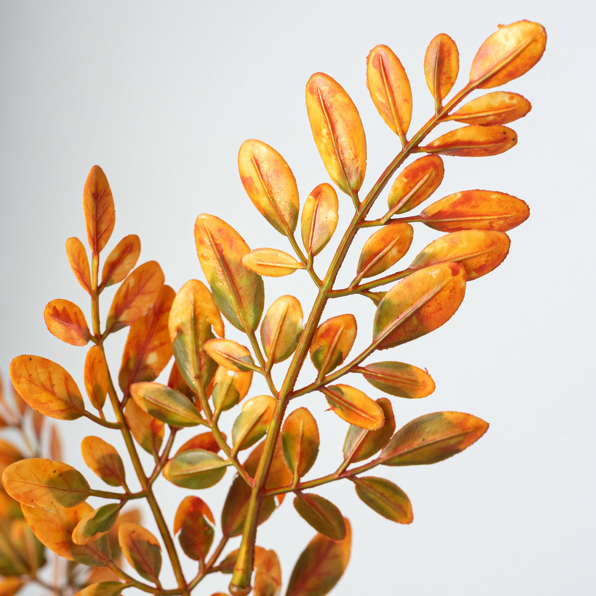 21" Plastic Locust Leaf Bush: Orange (7 Stem)
