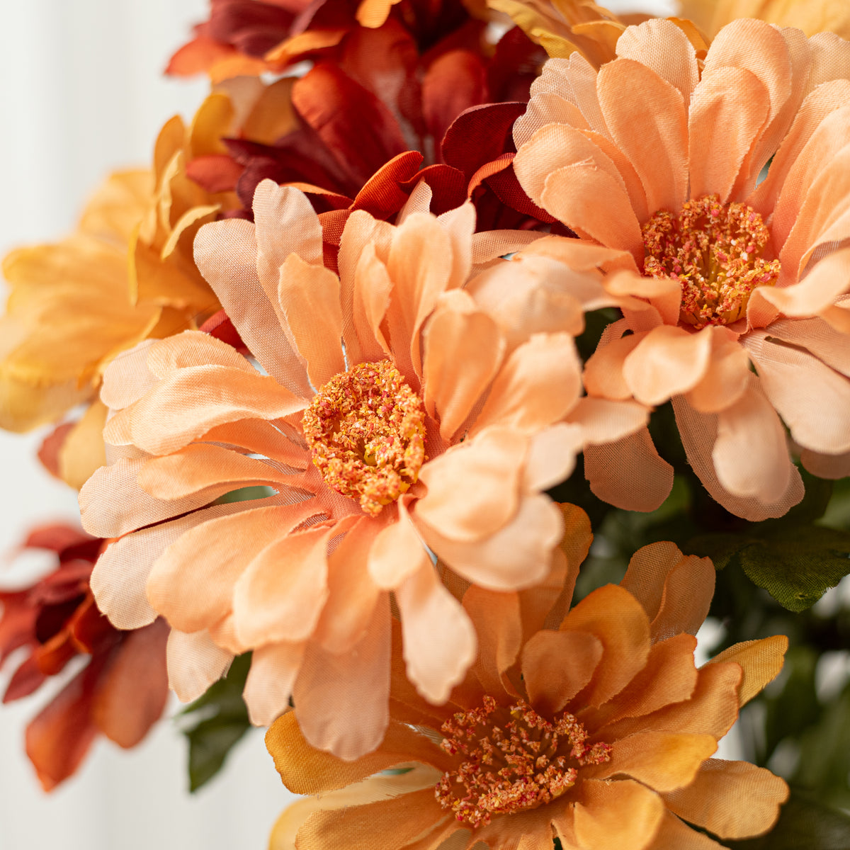 18" Gerbera Daisy Bush: Rust Fall (12 Stem)
