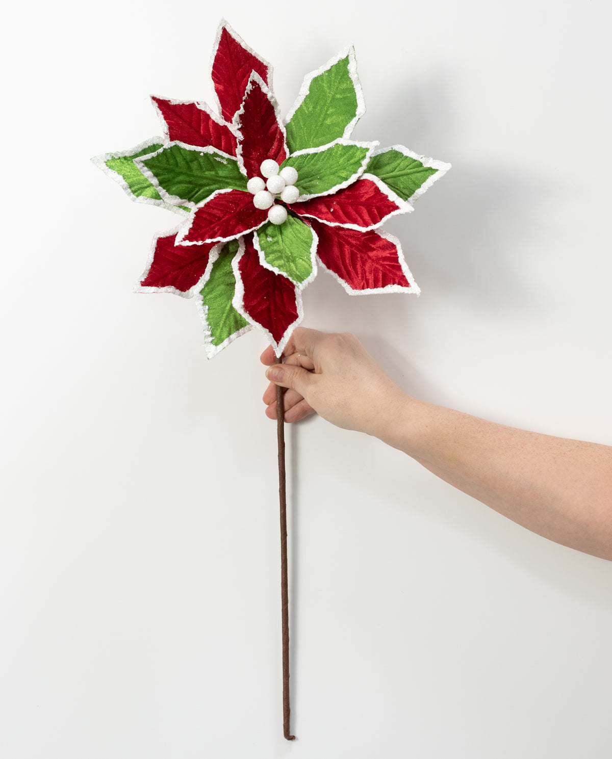 12" x 25" Velvet Snow Edge Poinsettia Stem: Green, Red & White