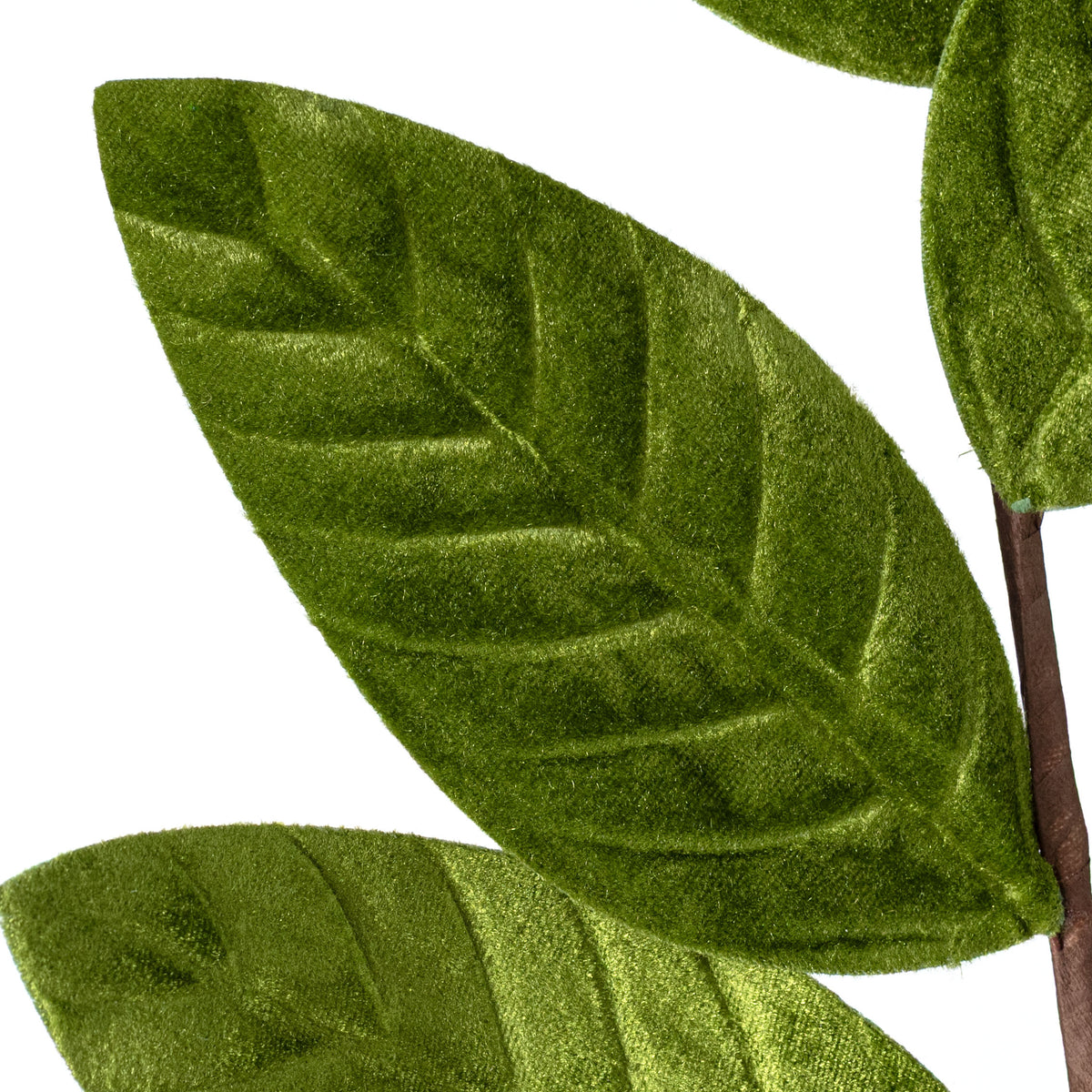 24" Velvet Magnolia Leaves Spray: Sage Green