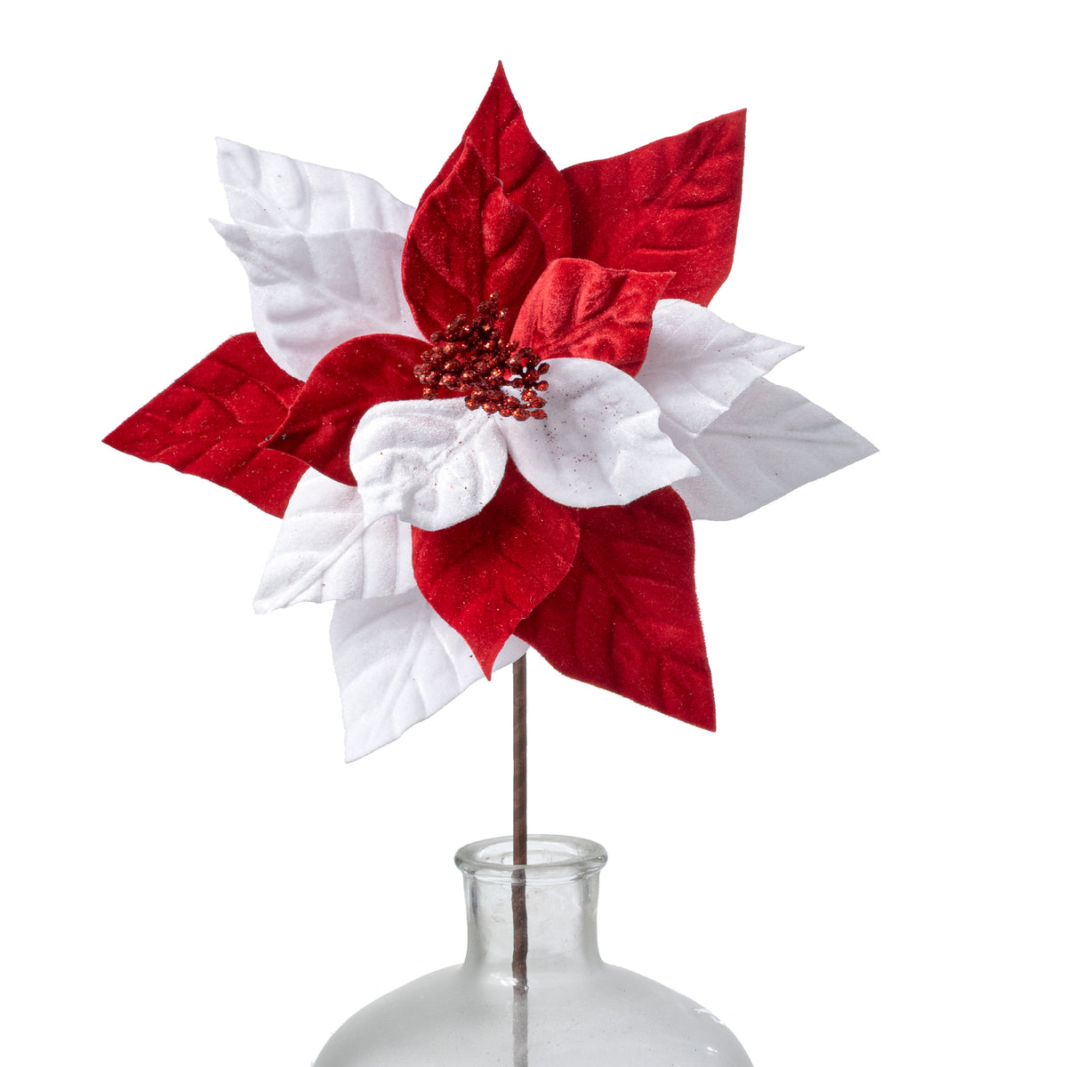 11" x 22" Velvet Peppermint Poinsettia Stem: Red & White