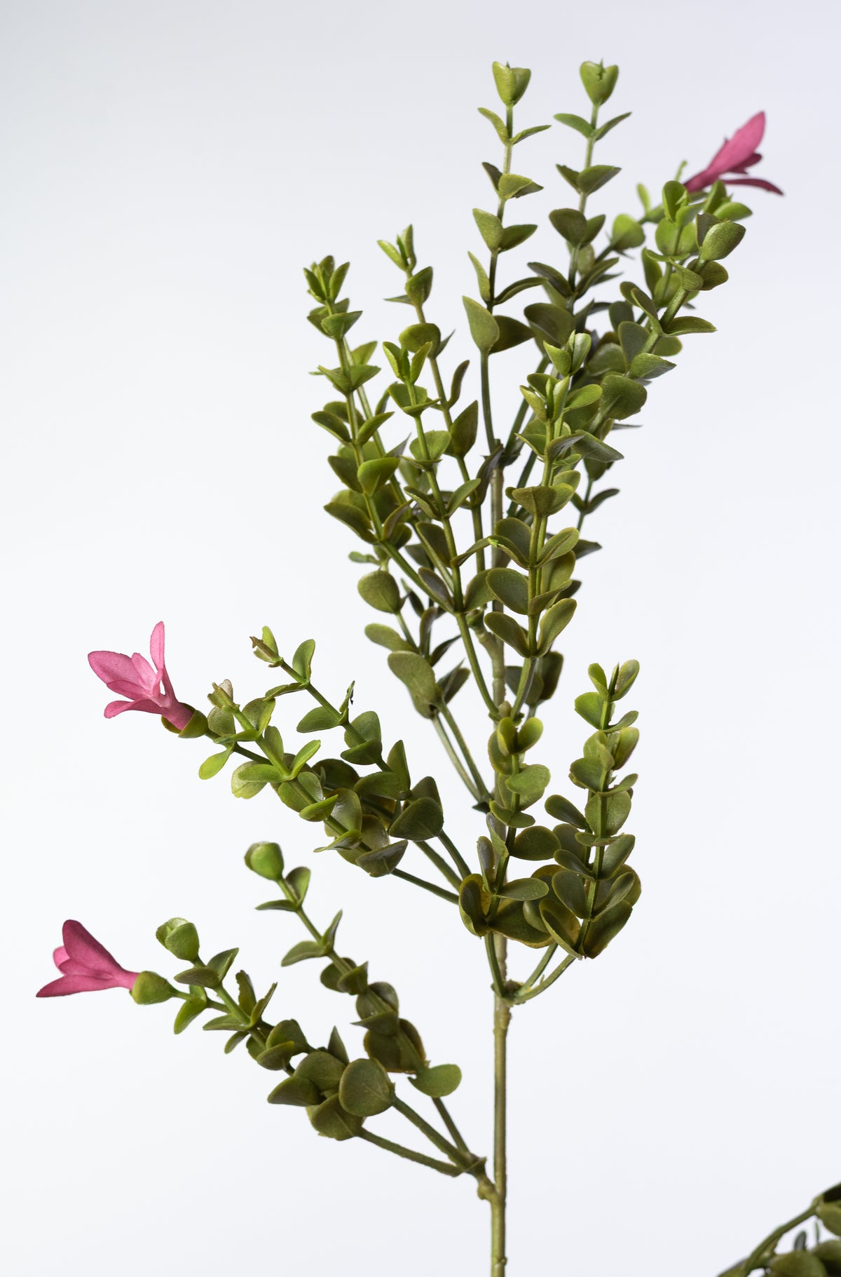 19" Mini Plastic Eucalyptus & Flowers Bush: Mauve Pink
