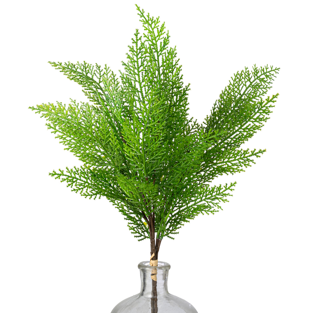21" Cypress Pick Bundle: Evergreen