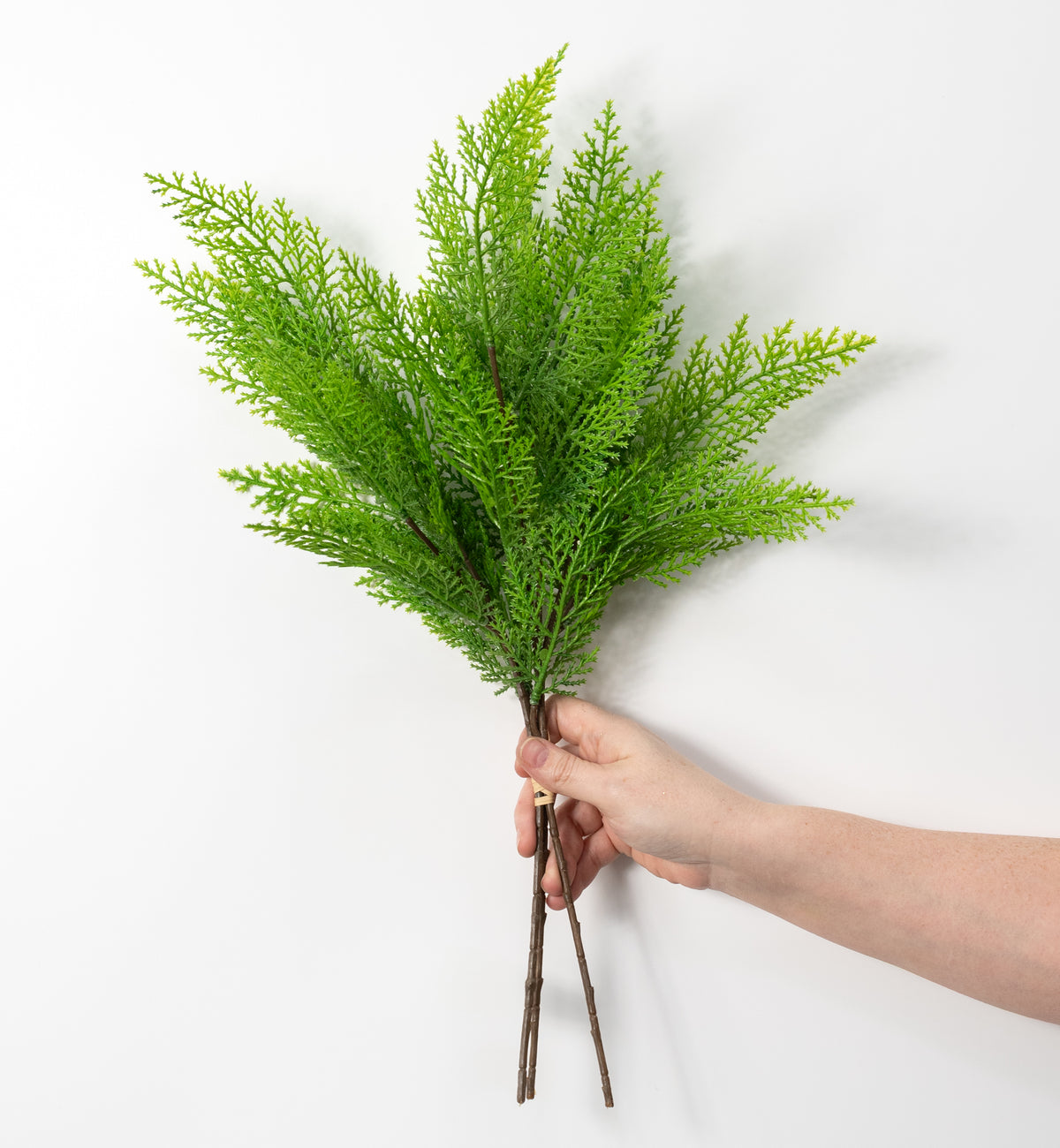 21" Cypress Pick Bundle: Evergreen