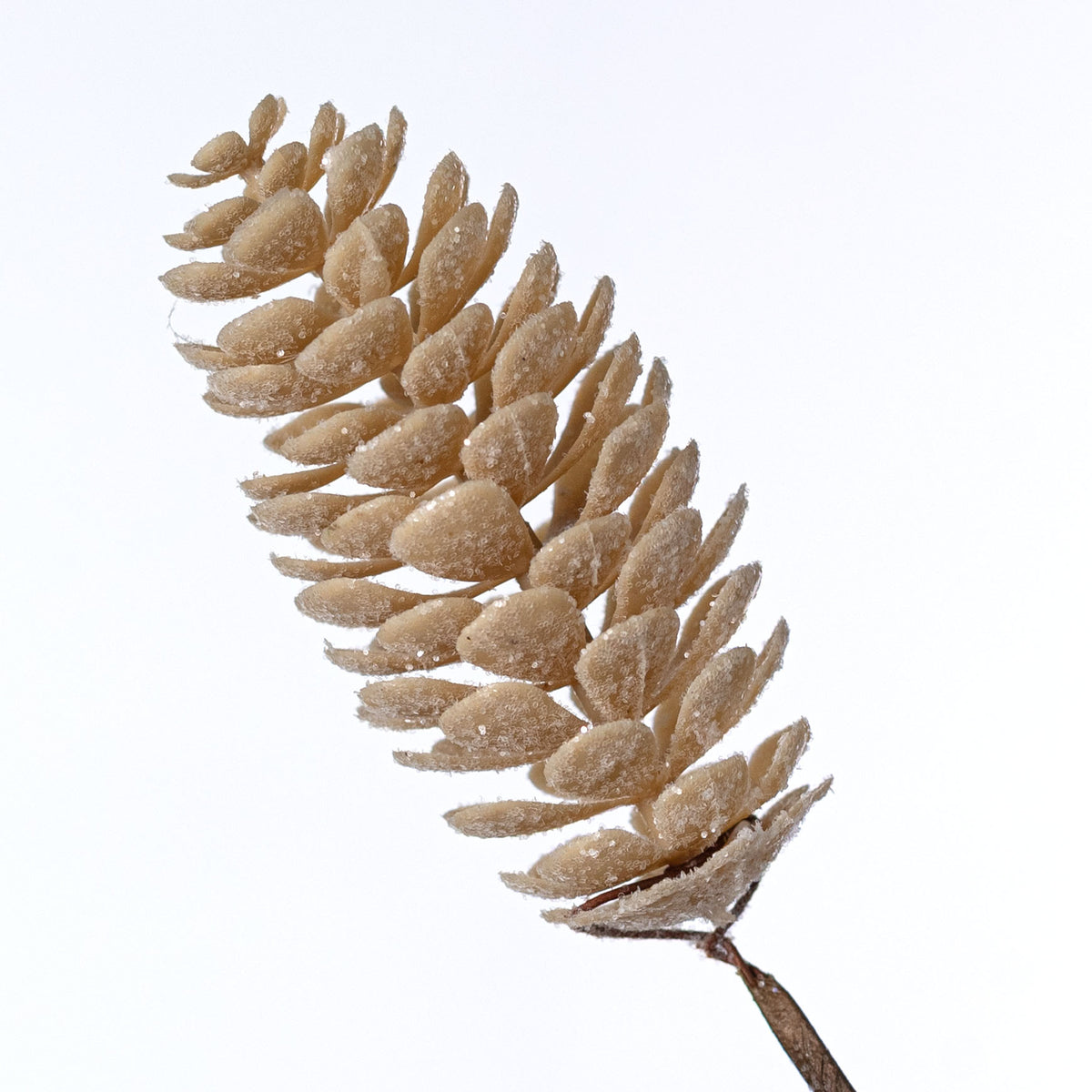 28" Mixed Pinecones Spray: Frosted Natural
