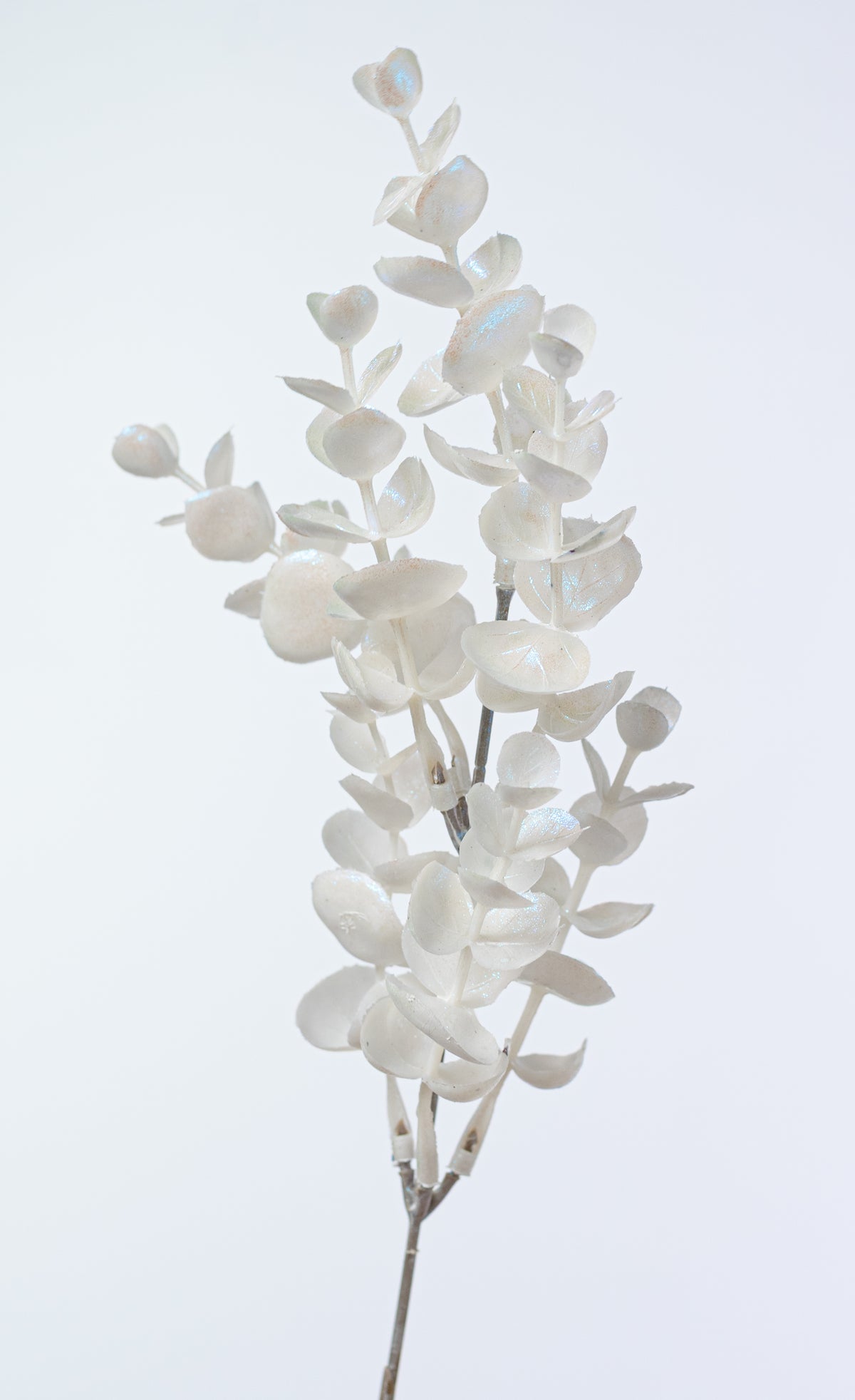 19" Plastic Eucalyptus Bush: Iridescent White (7 Stem)