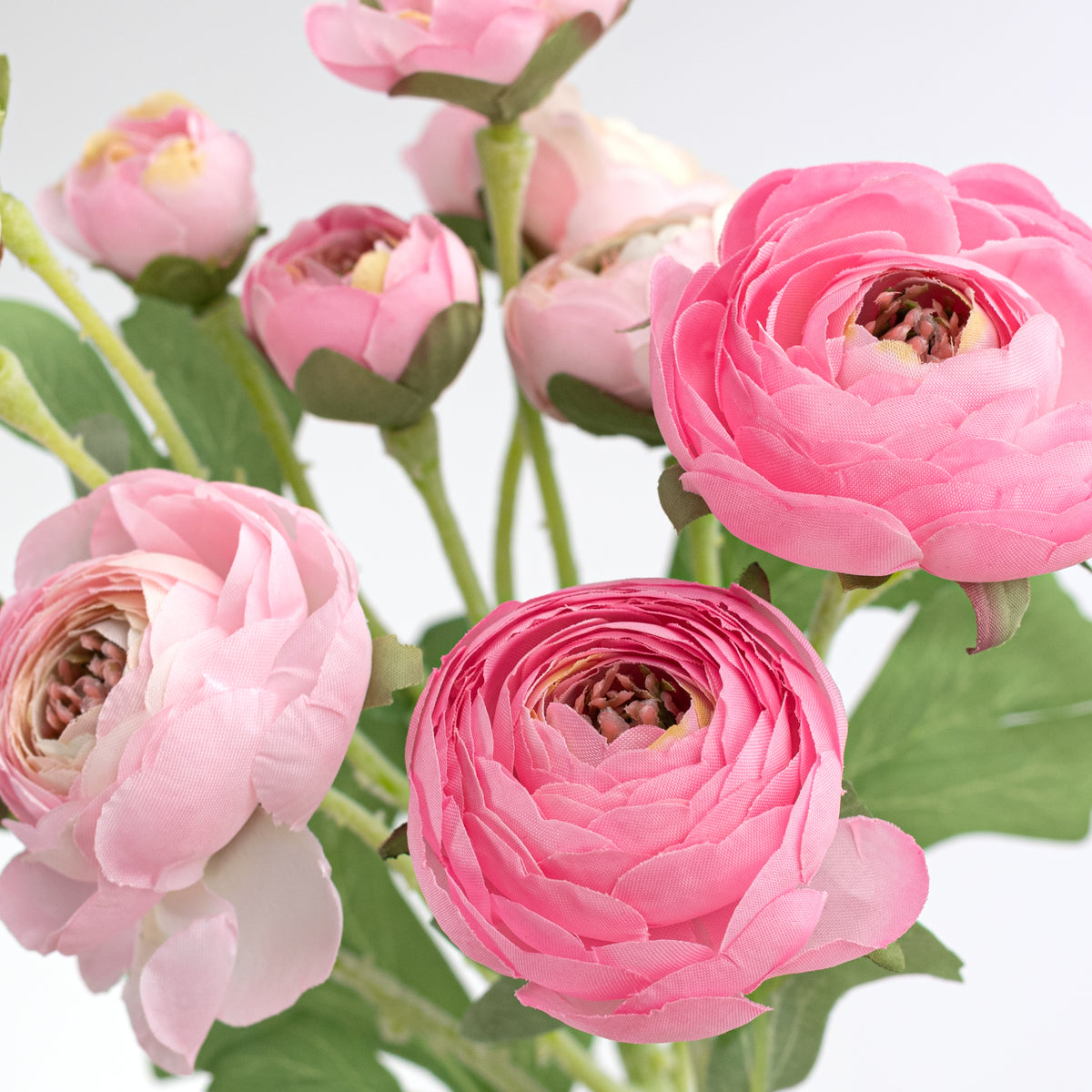 21" Ranunculus Spray: Pink