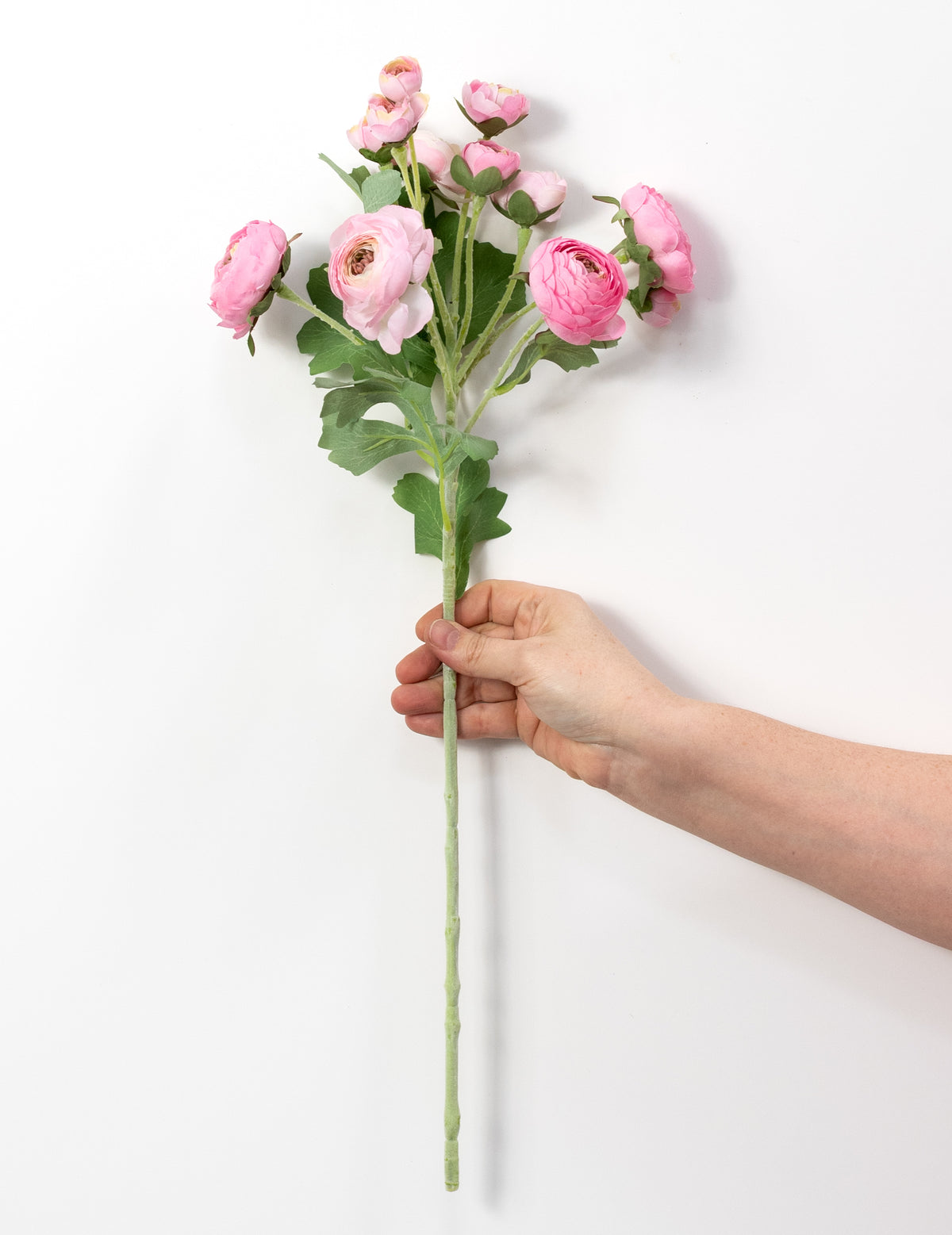 21" Ranunculus Spray: Pink