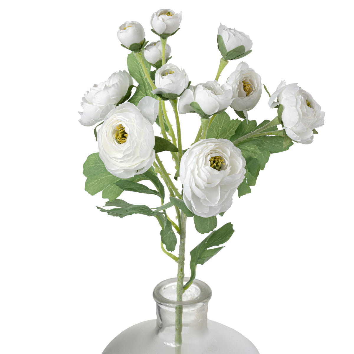 21" Ranunculus Spray: White