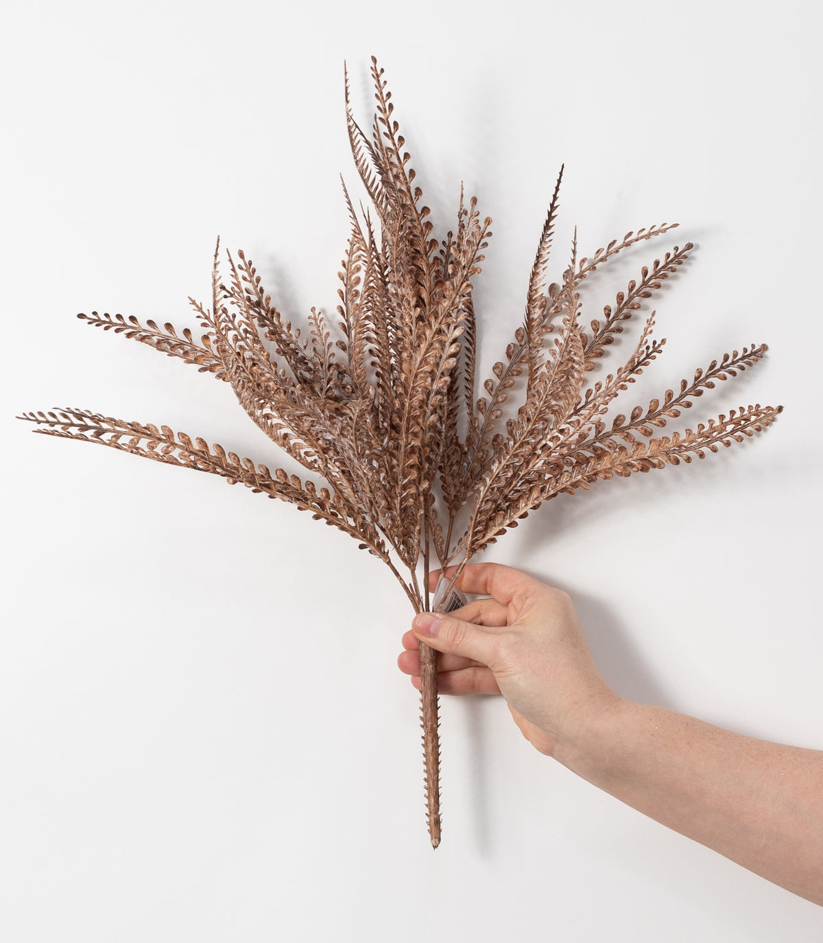 17" Button Sword Fern Bush: White Wash Brown
