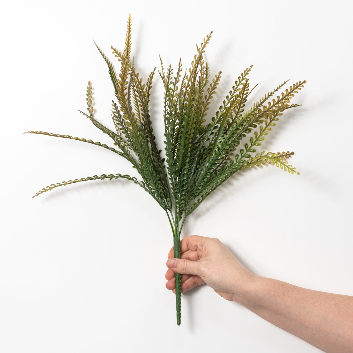 17" Button Sword Fern Bush: Two Tone Brown & Green