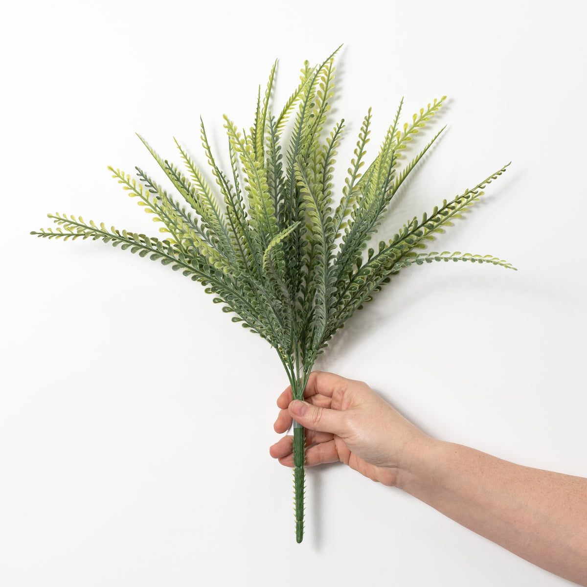 17" Button Sword Fern Bush: Two Tone Fresh Green