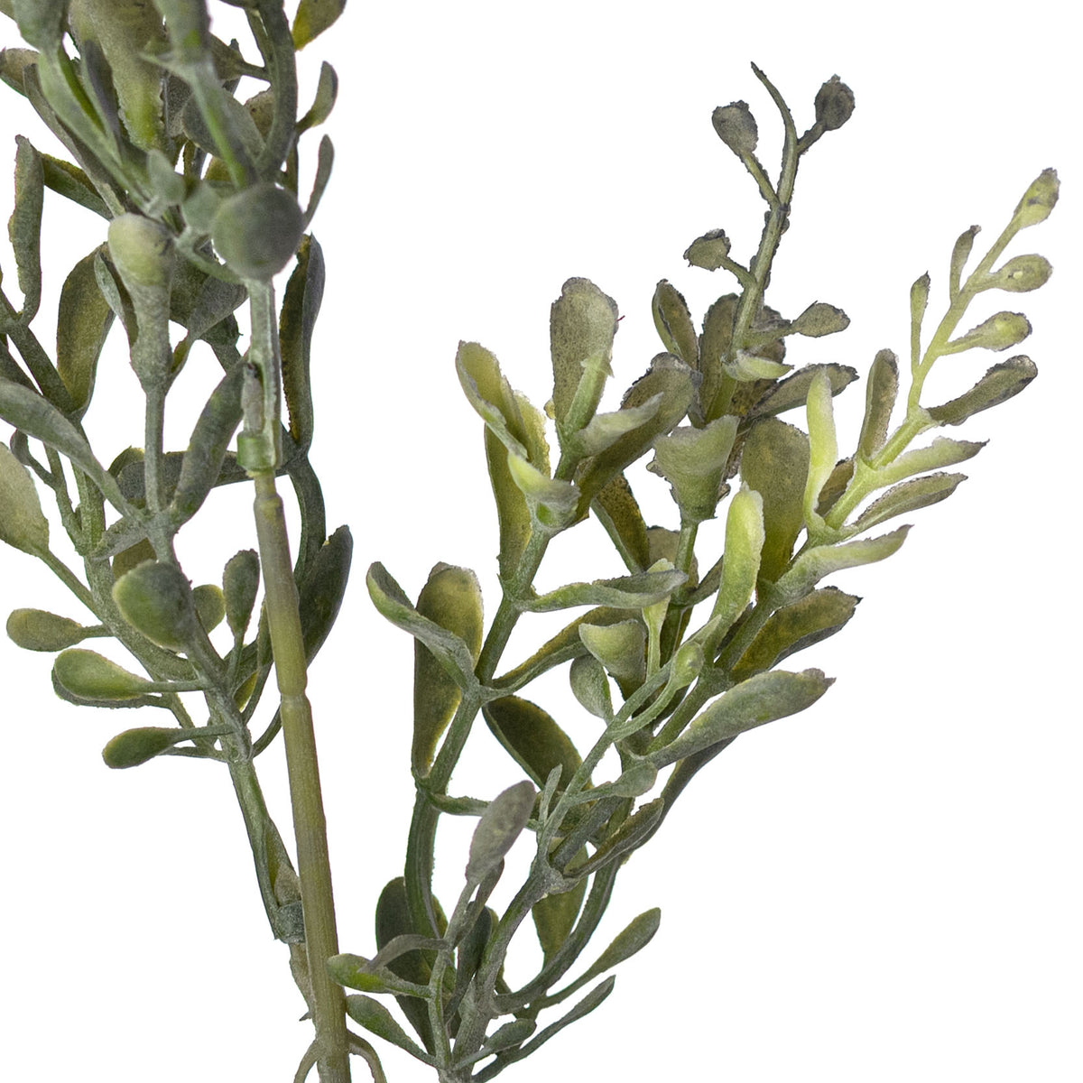 15" Mini Tea Leaf Bush: Dusty Green (5 Stem)