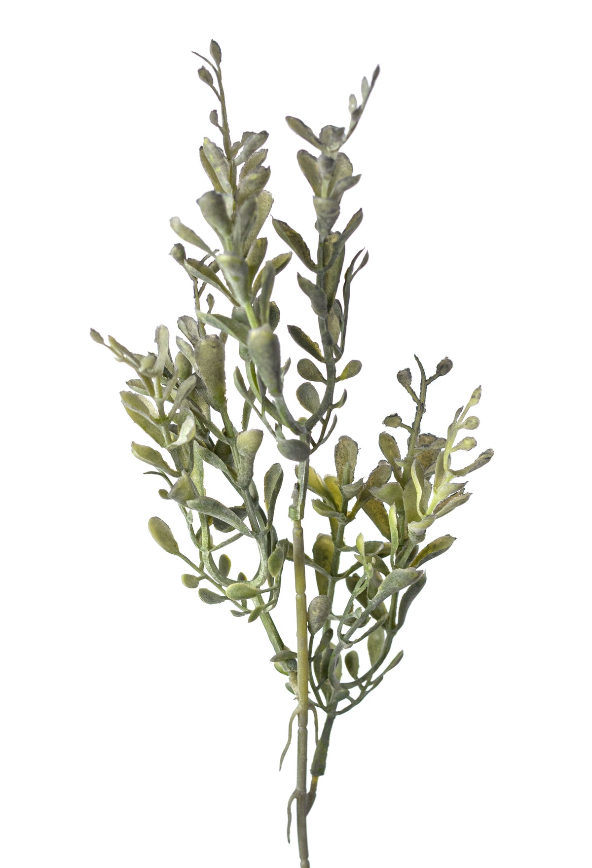 15" Mini Tea Leaf Bush: Dusty Green (5 Stem)