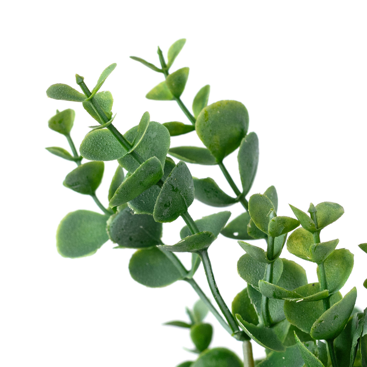 14" Eucalyptus Bush: Dusty Green (5 Stem)