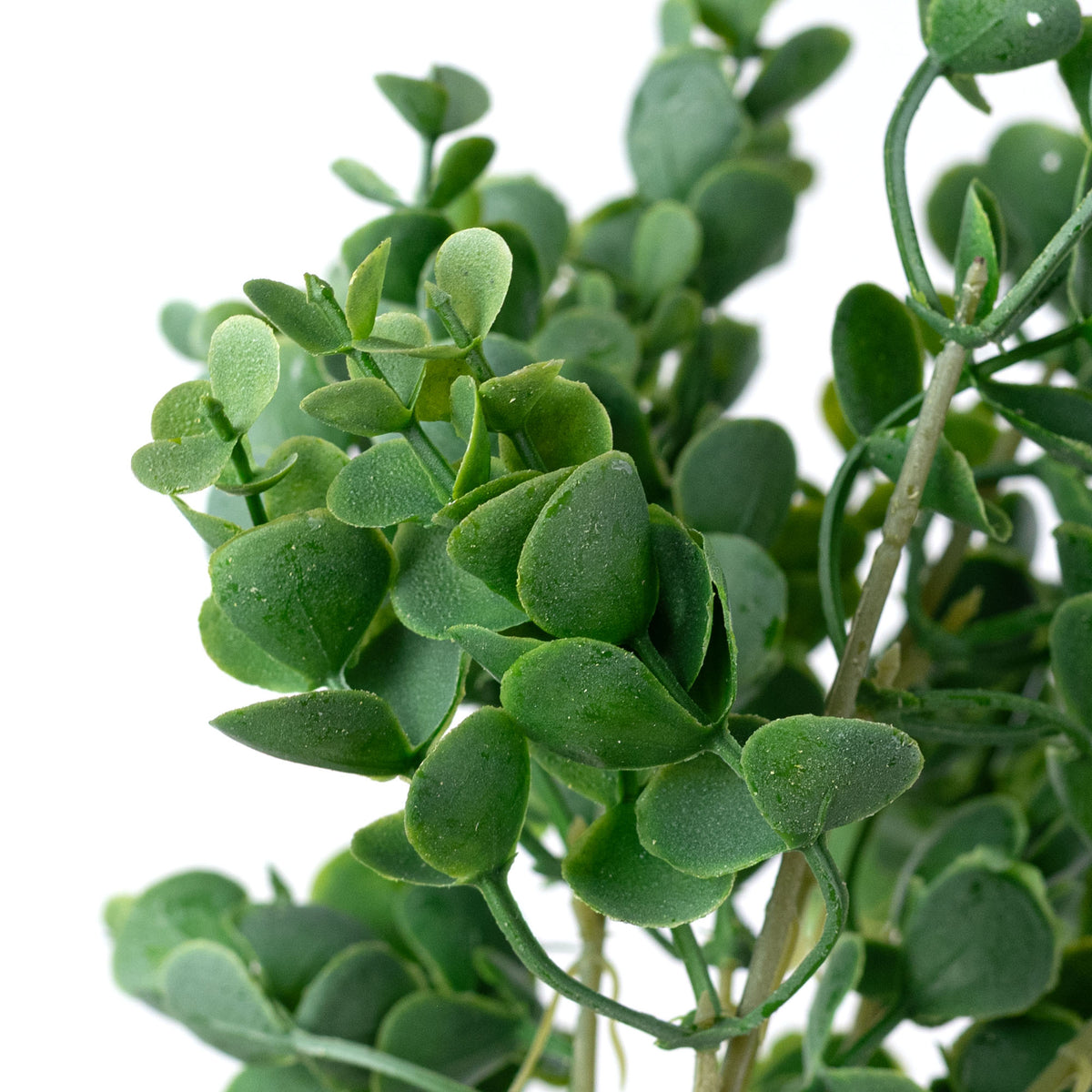 14" Eucalyptus Bush: Dusty Green (5 Stem)