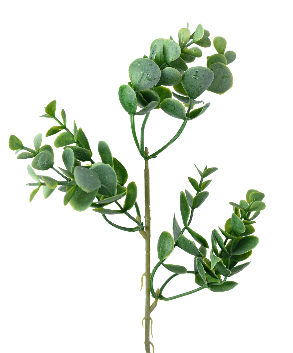 14" Eucalyptus Bush: Dusty Green (5 Stem)