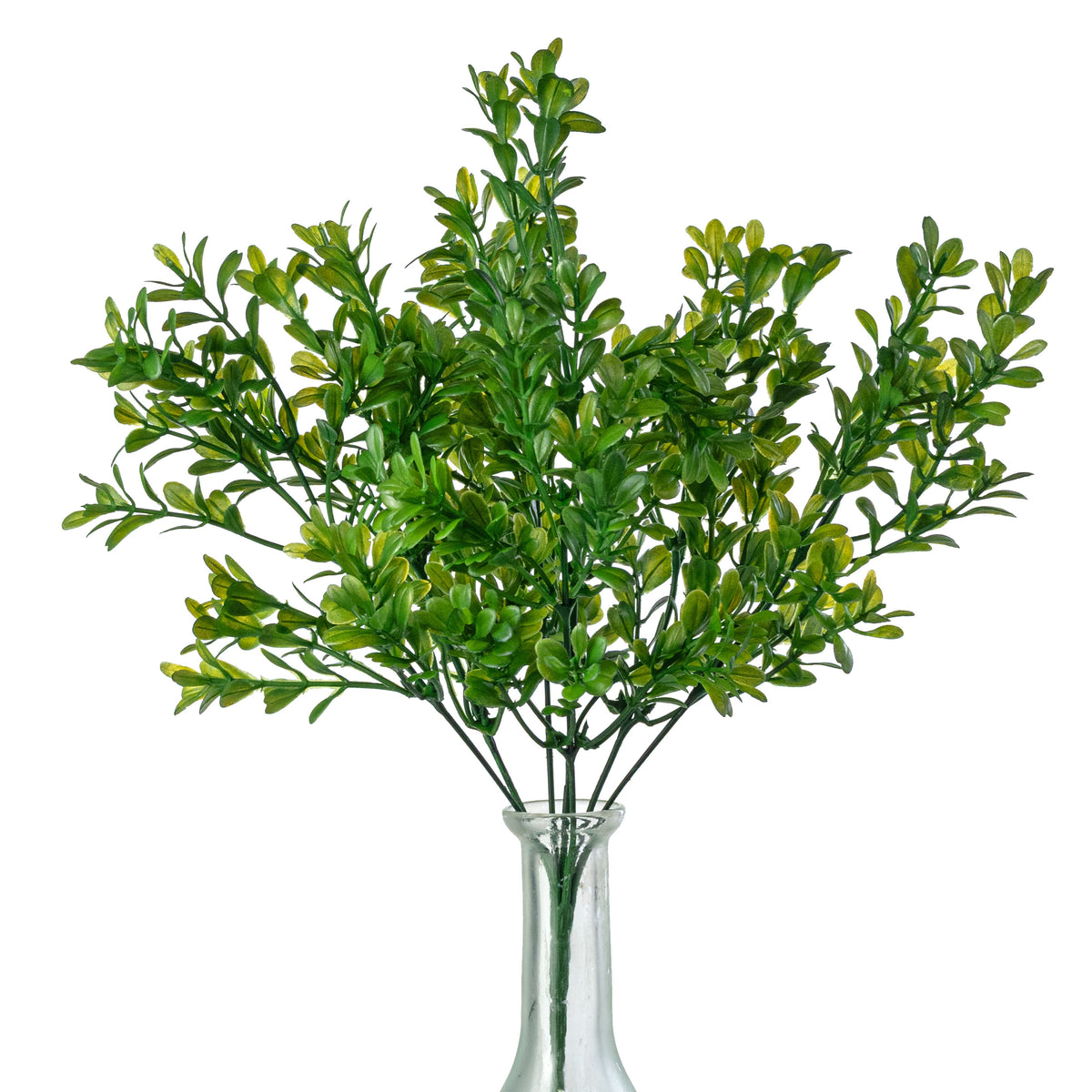 13" Boxwood Bush: Green (7 Stem)