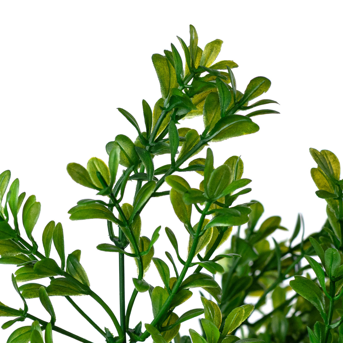 13" Boxwood Bush: Green (7 Stem)