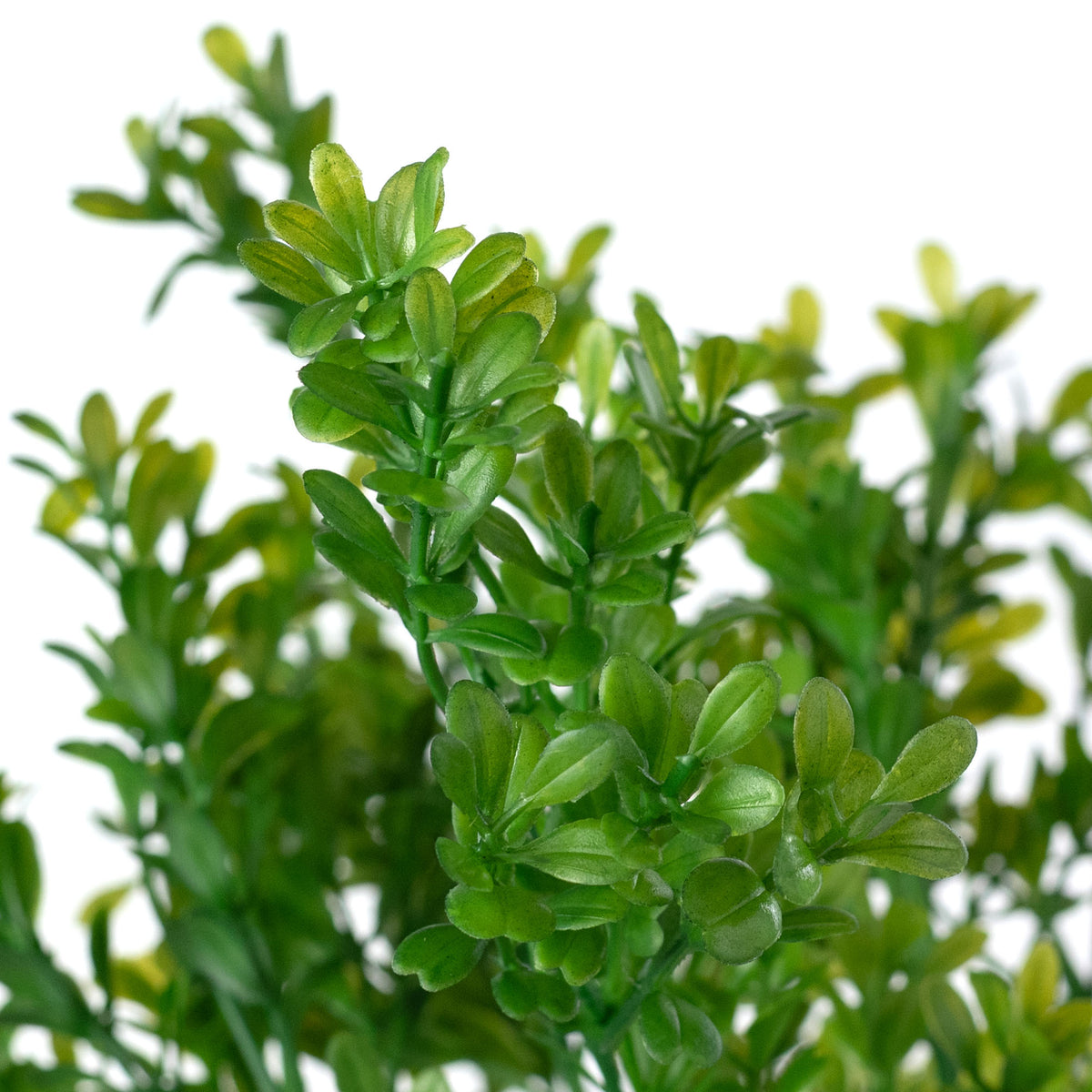 13" Boxwood Bush: Green (7 Stem)