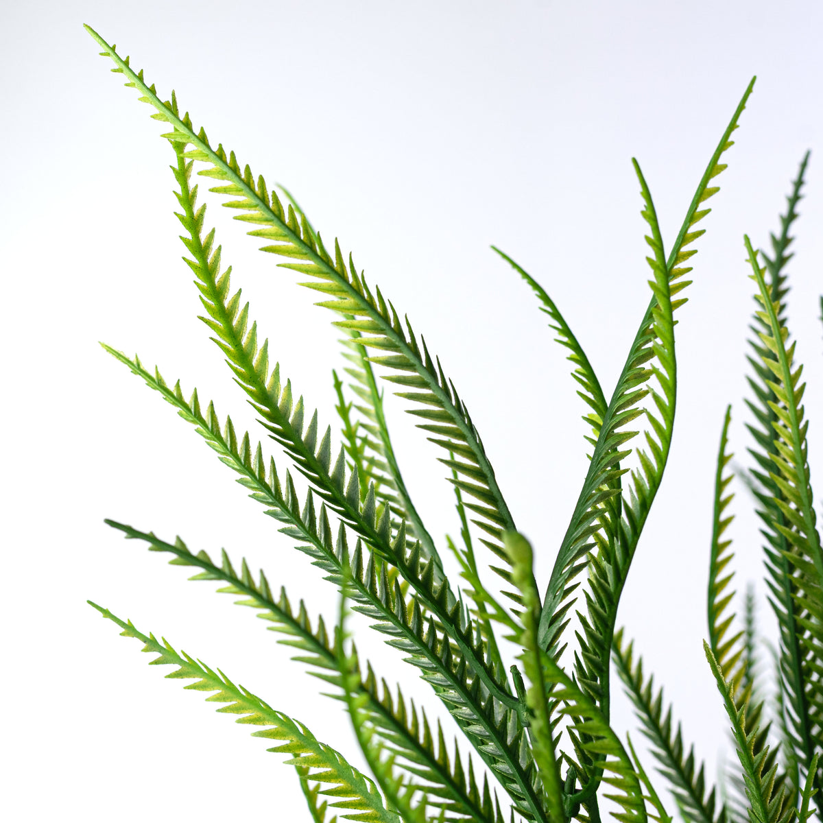 22" Soft Touch Serrated Grass Leaves Bush (7 Stem)