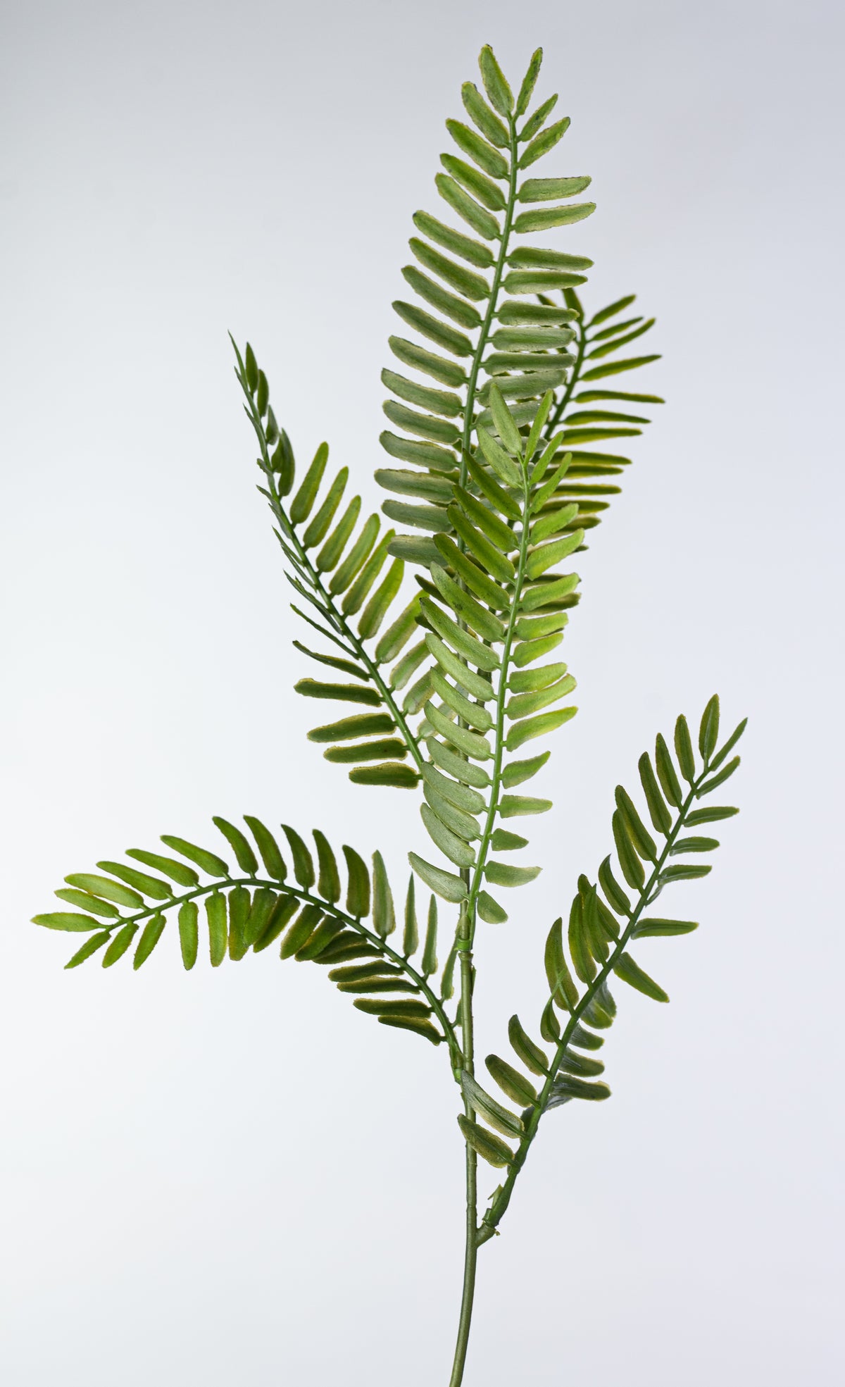23" Soft Touch Plastic Fern Bush: Two Tone Green