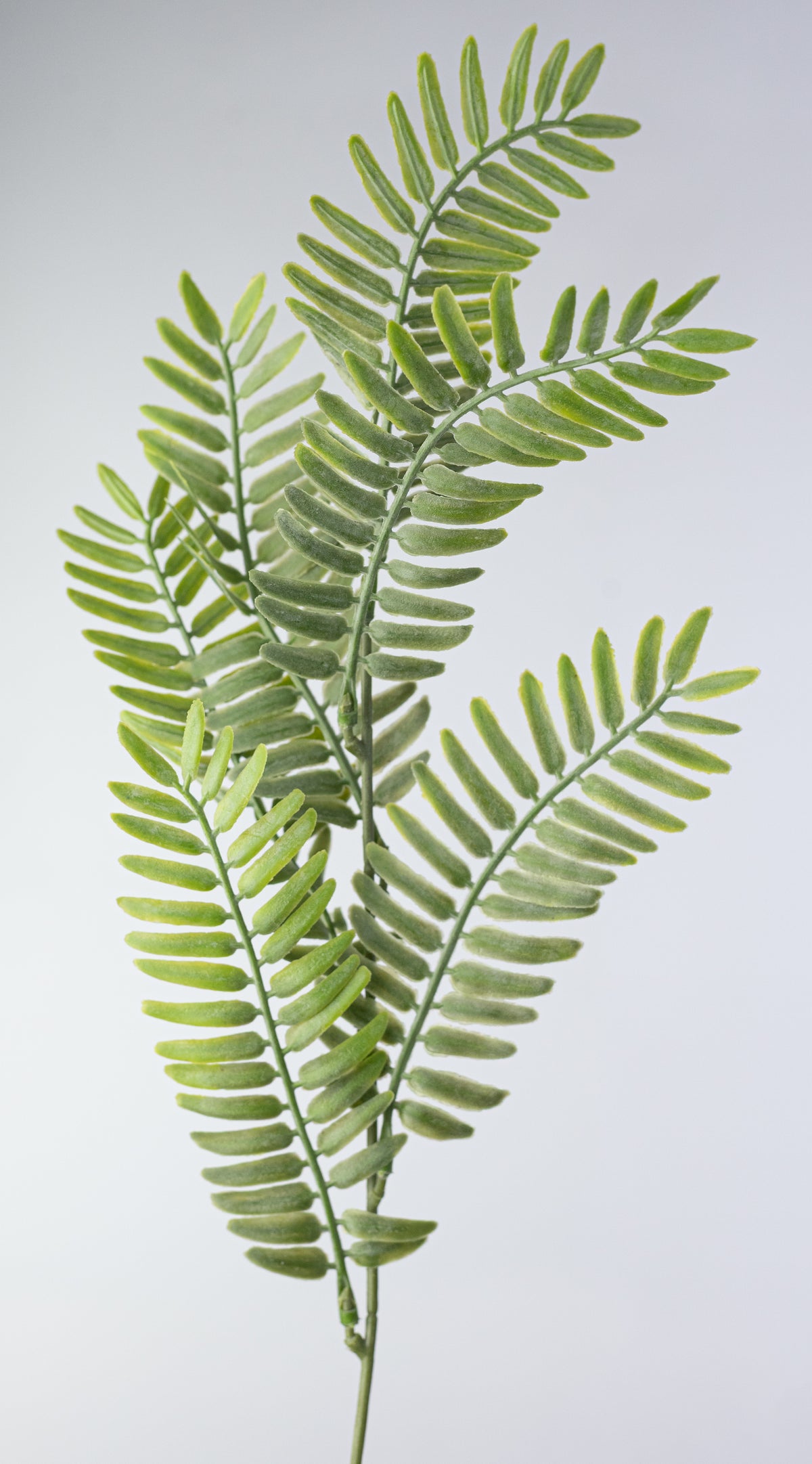 23" Soft Touch Plastic Fern Bush: Two Tone Light Green