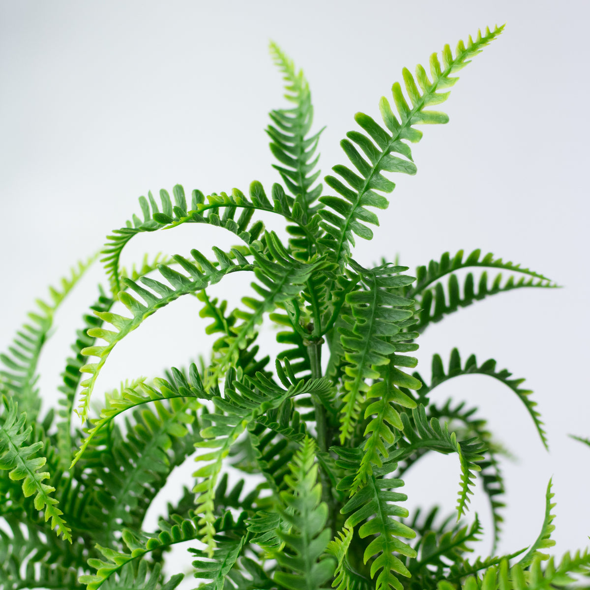 15" Plastic Mini Fern Bush: Dusty Two-Tone Green