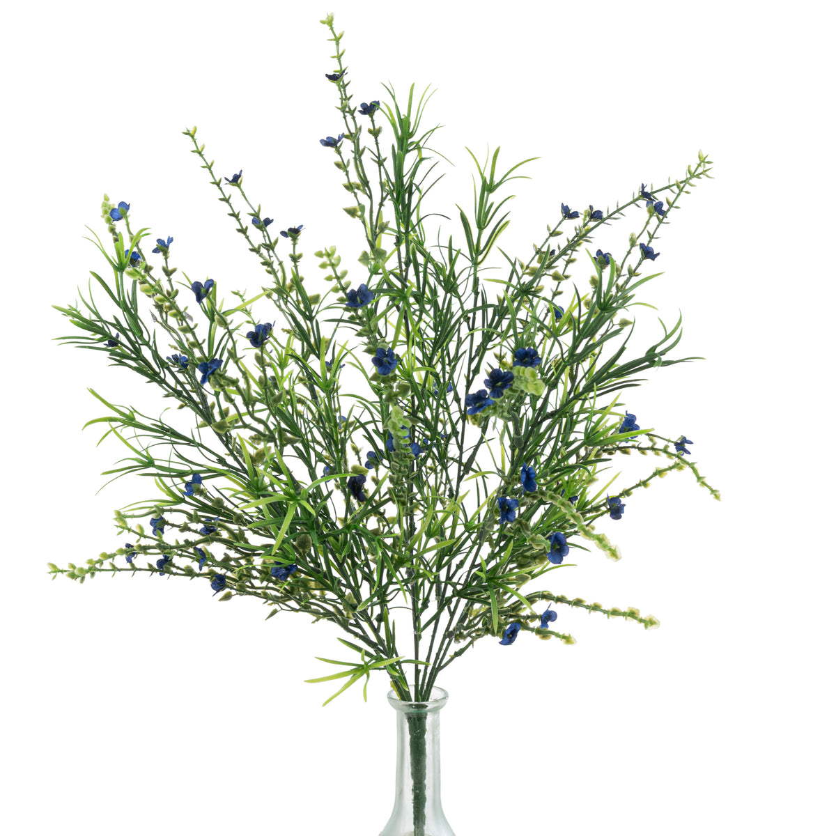 21" Mixed Forget-Me-Not Bush: Blue