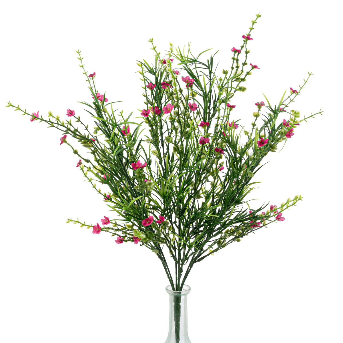 21" Mixed Forget-Me-Not Bush: Fuchsia Pink