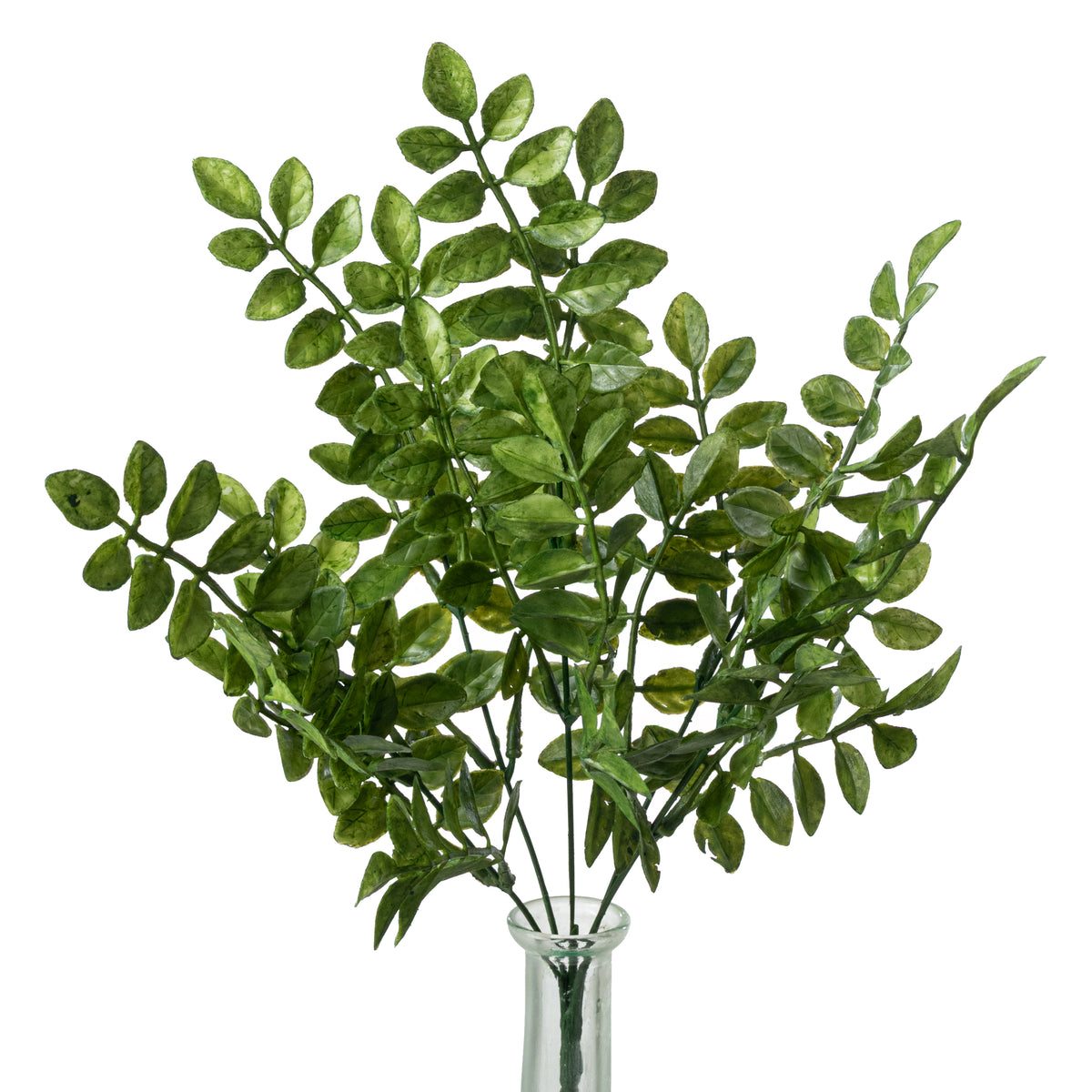 15" Plastic Wisteria Leaves Bush (5 Stem)