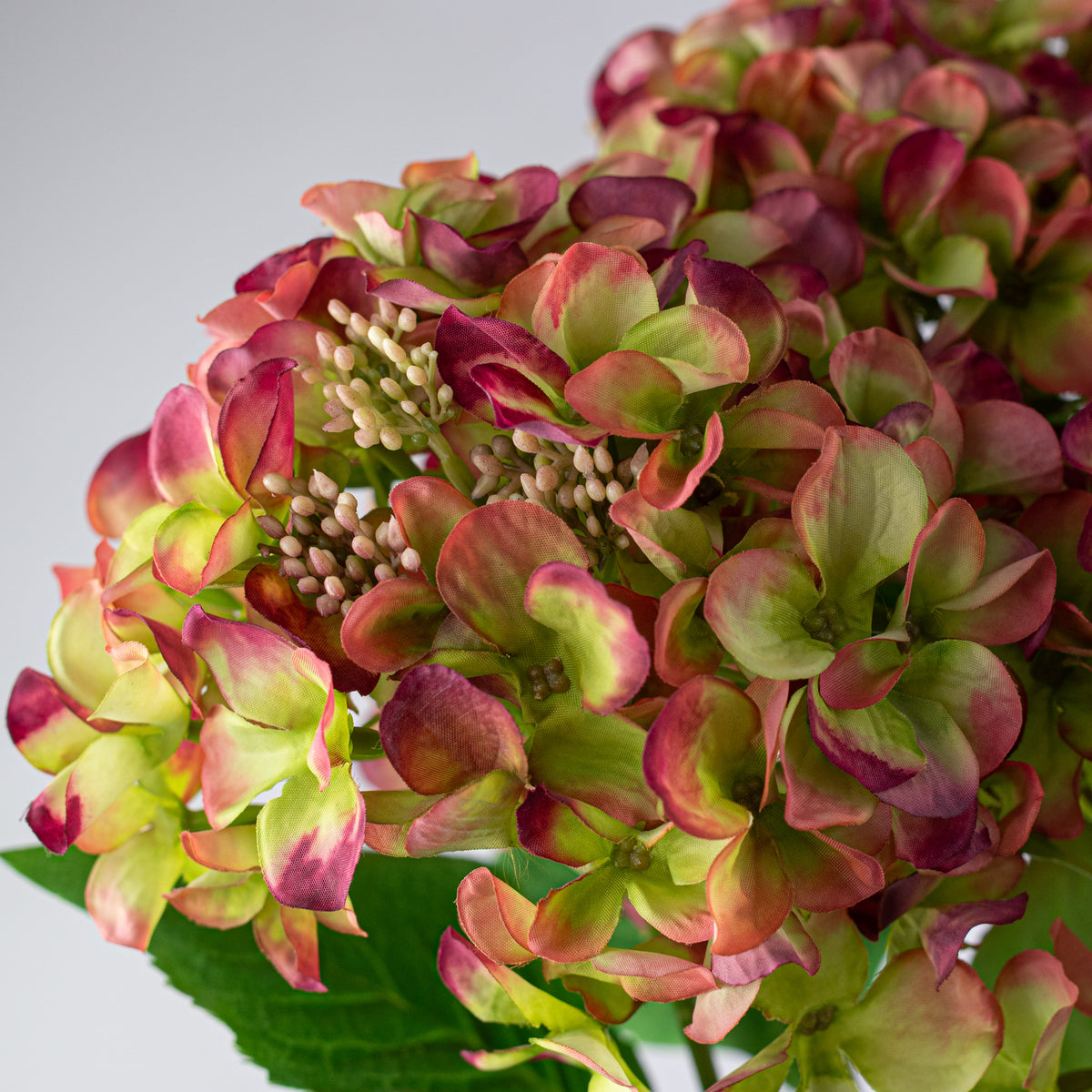 20" Hydrangea Bush: Variegated Mauve & Green (5 Stem)
