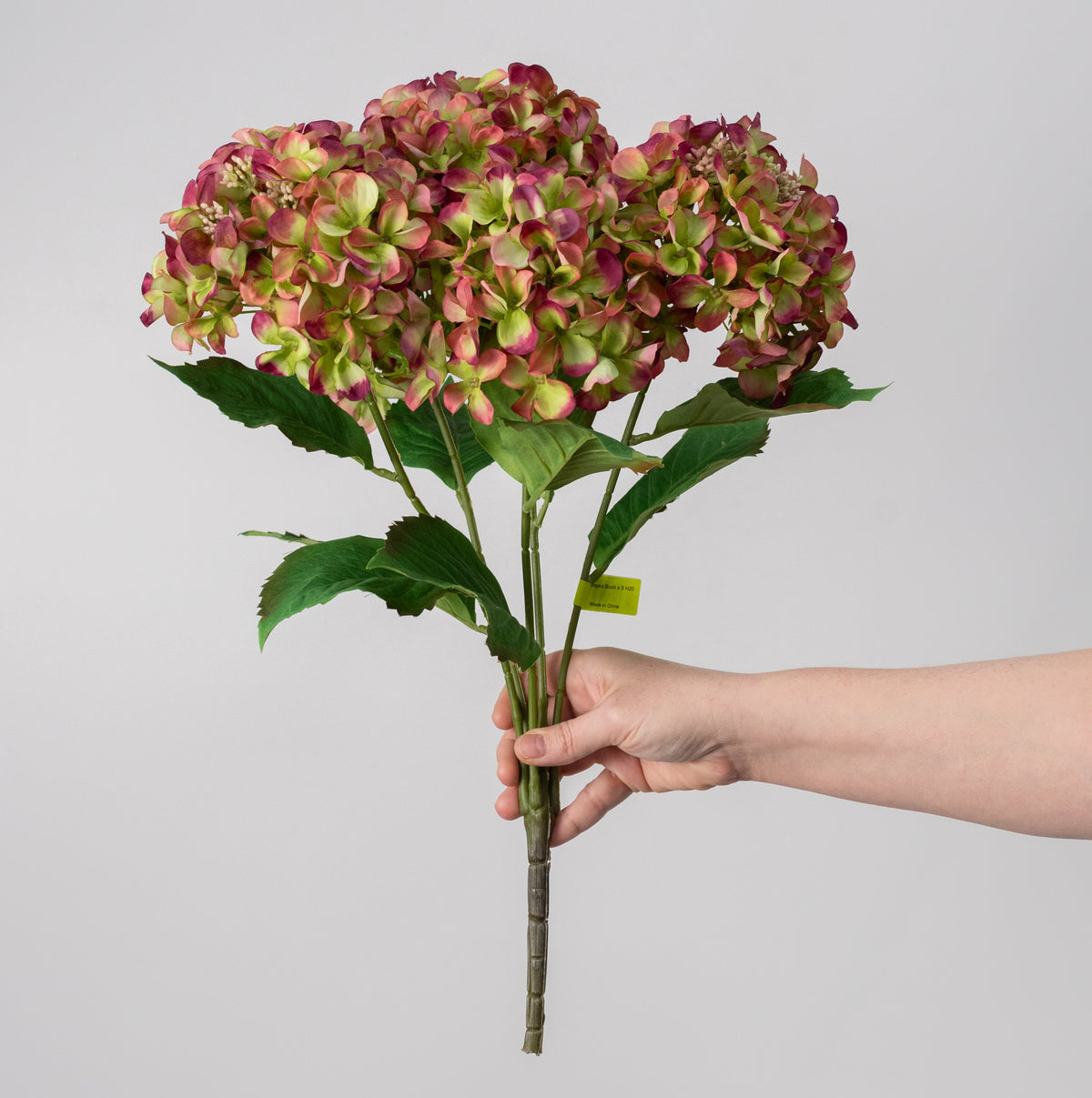 20" Hydrangea Bush: Variegated Mauve & Green (5 Stem)