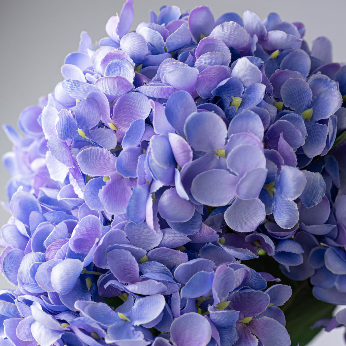 19" Hydrangea Bush: Lavender (5 Stem)