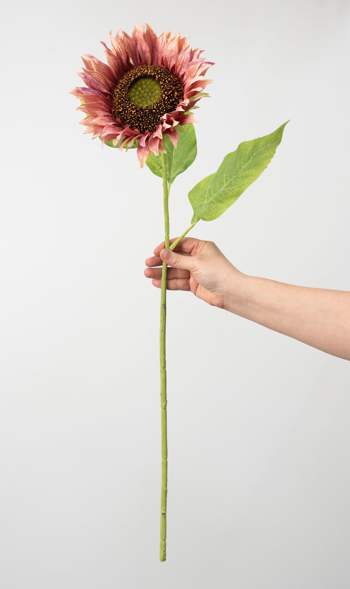 8" x 29" Velvet Sunflower Stem: Dusty Rose