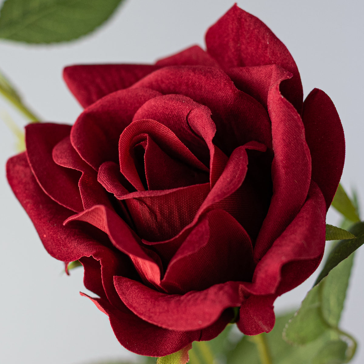 24" Luxe Velvet Roses Spray: Red