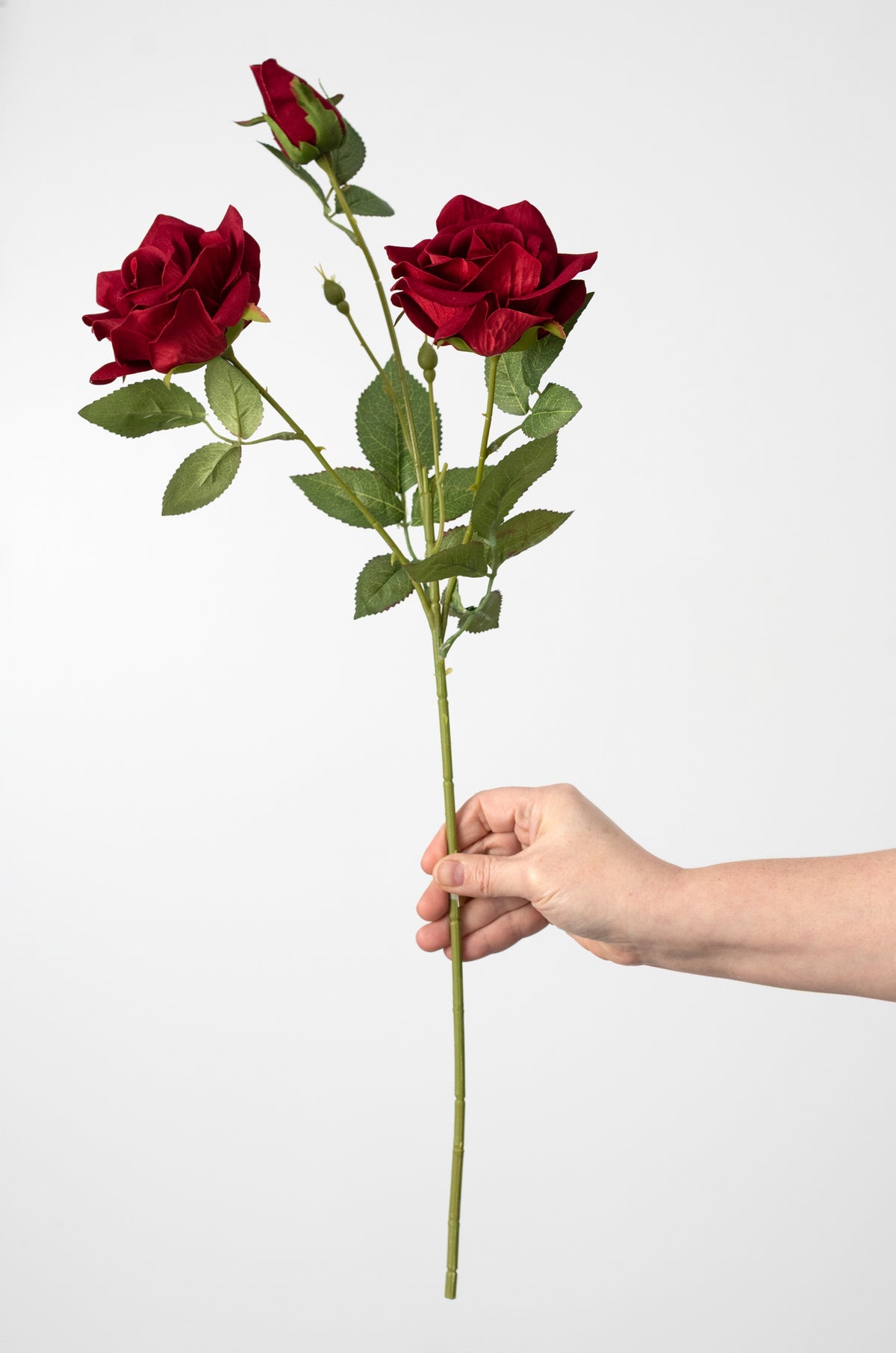 24" Luxe Velvet Roses Spray: Red
