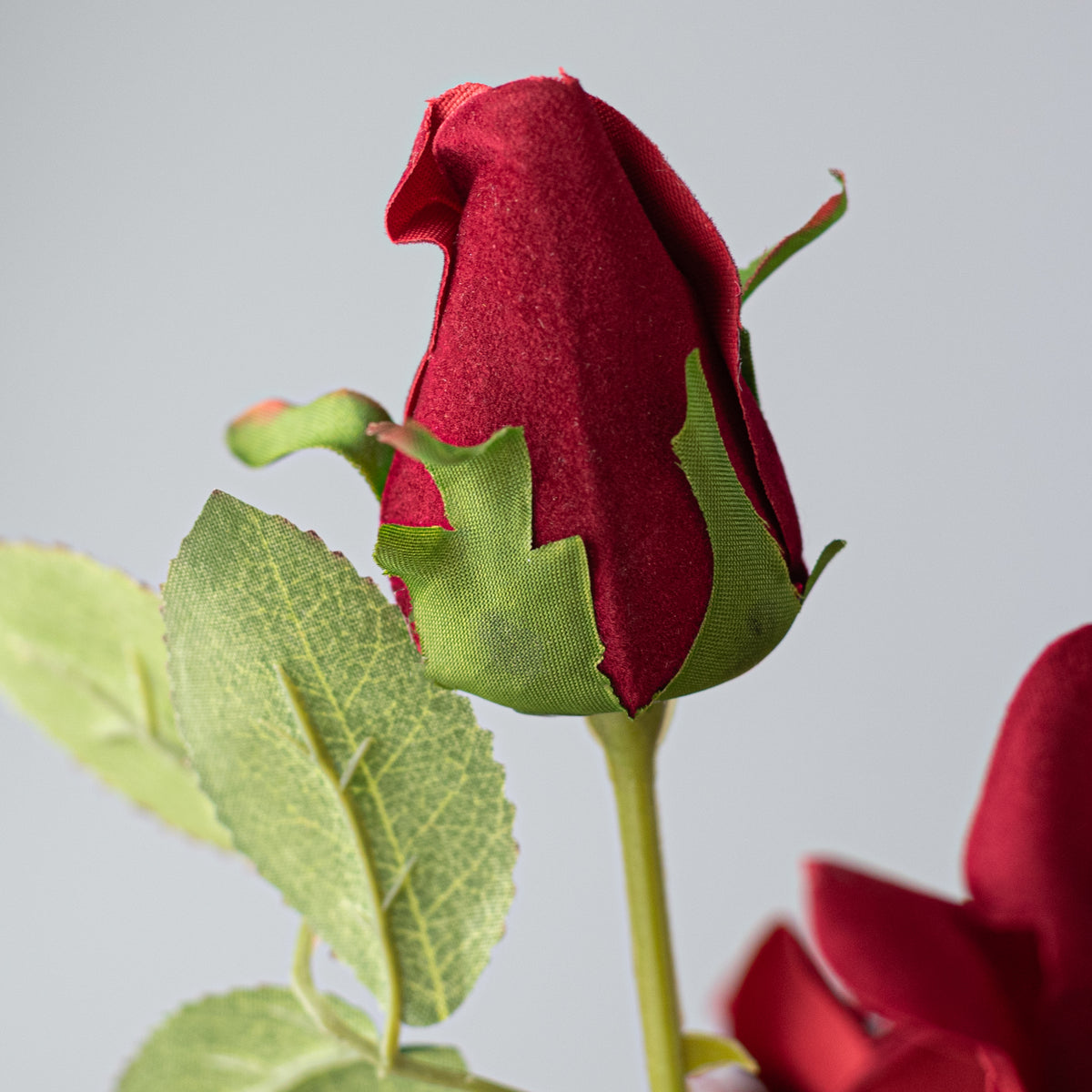 24" Luxe Velvet Roses Spray: Red