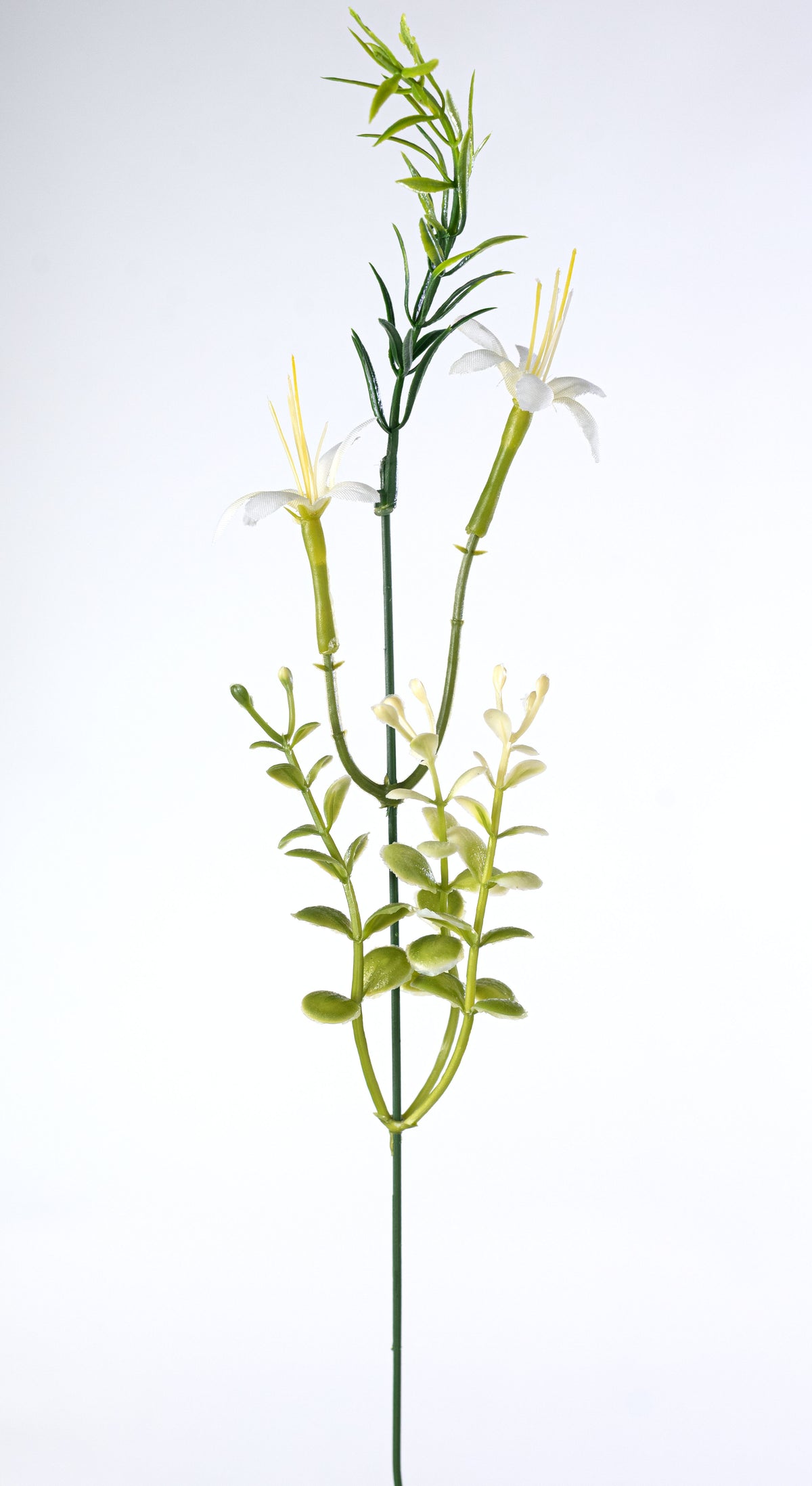 19" Plastic Mixed Sedum Flower Bush: Cream (12 Stem)