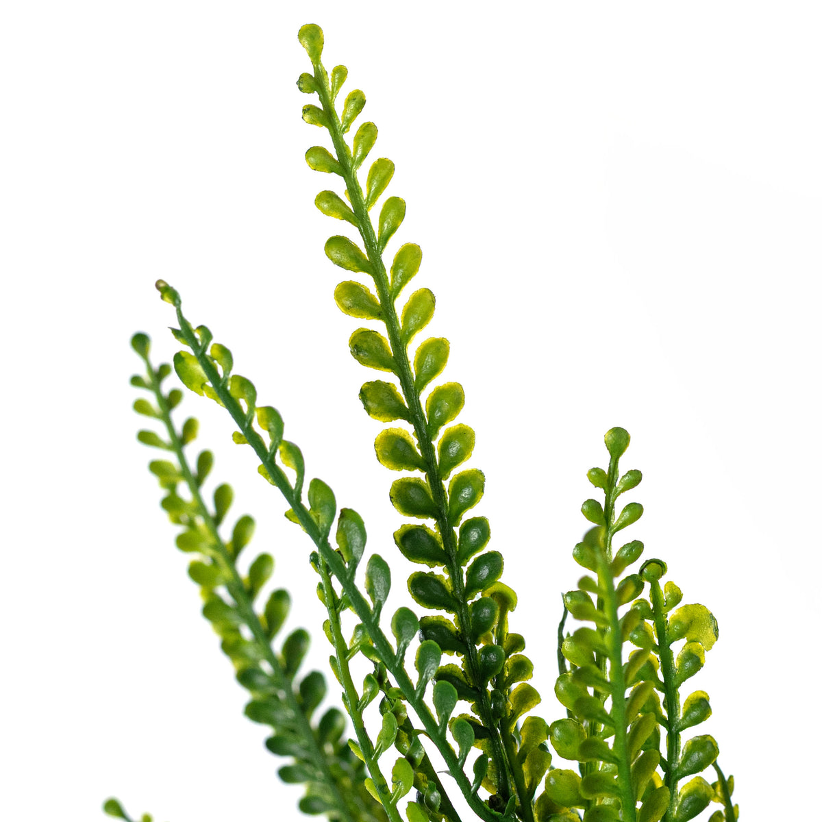 Plastic Bead Grass Button Fern Leaves Bush (7 Stem)