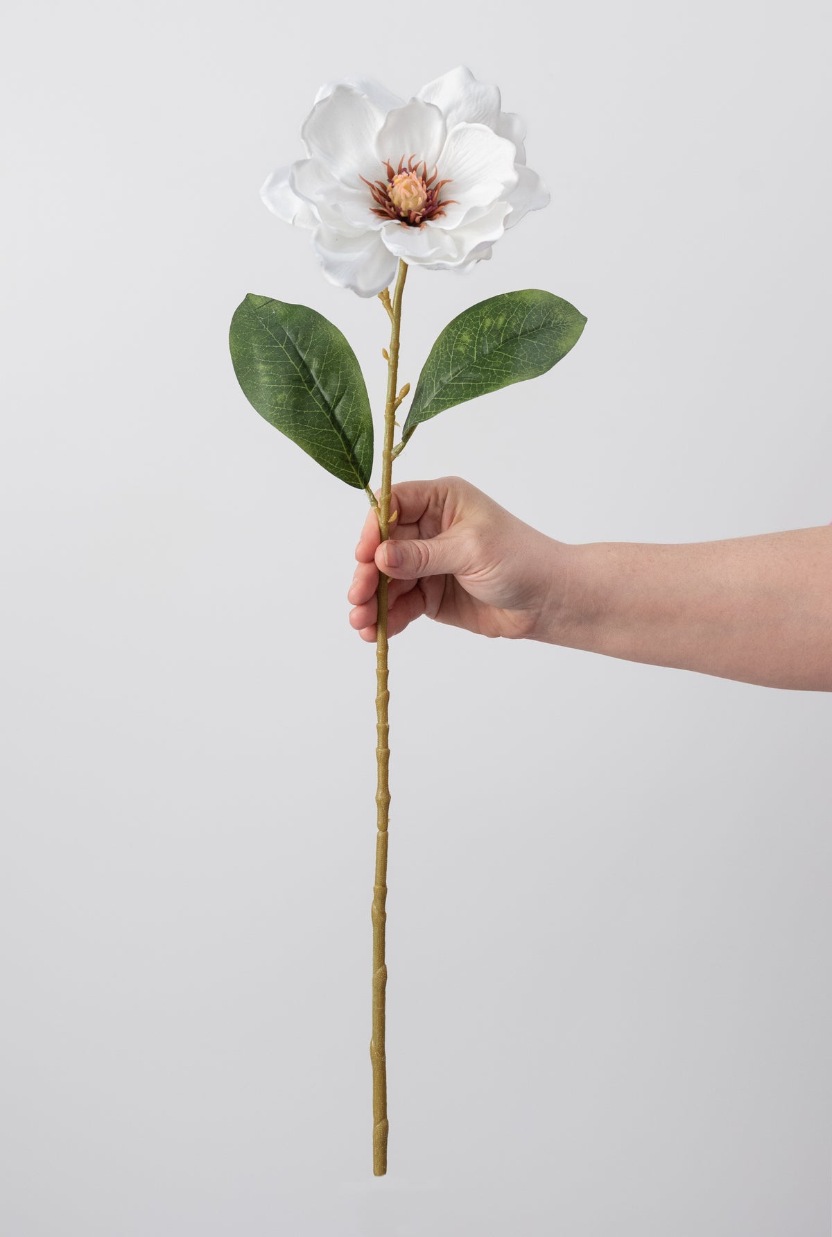 26" Magnolia Flower Stem