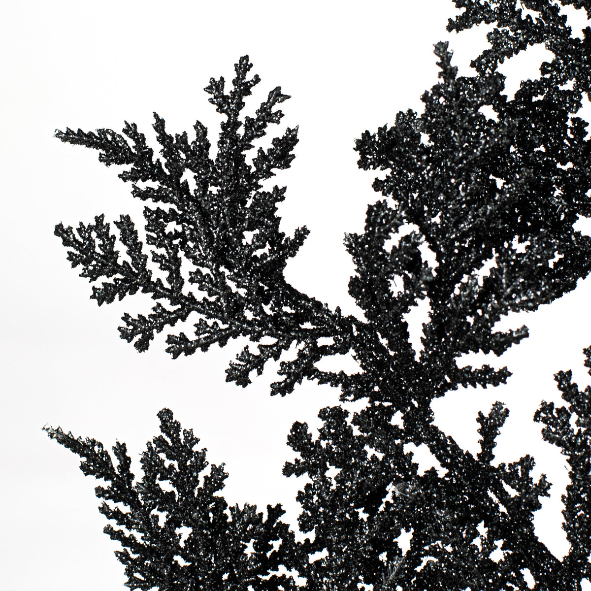 19" Incense Cedar Glitter Spray: Black Lifestyle Photo