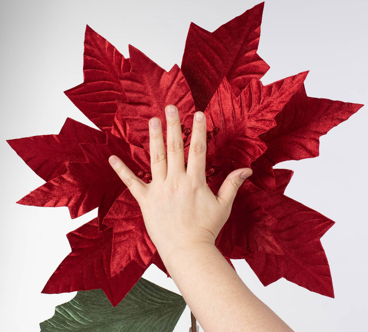 24" Jumbo Poinsettia Stem: Red Lifestyle Photo
